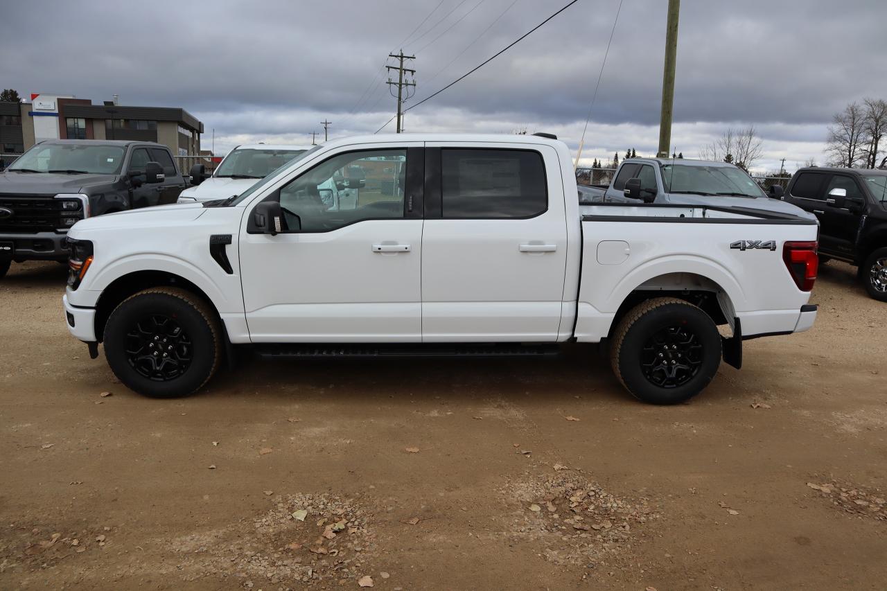 2024 Ford F-150 XLT Photo