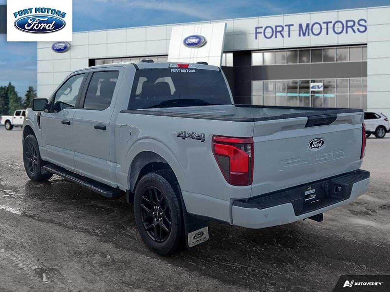 2024 Ford F-150 STX® Photo