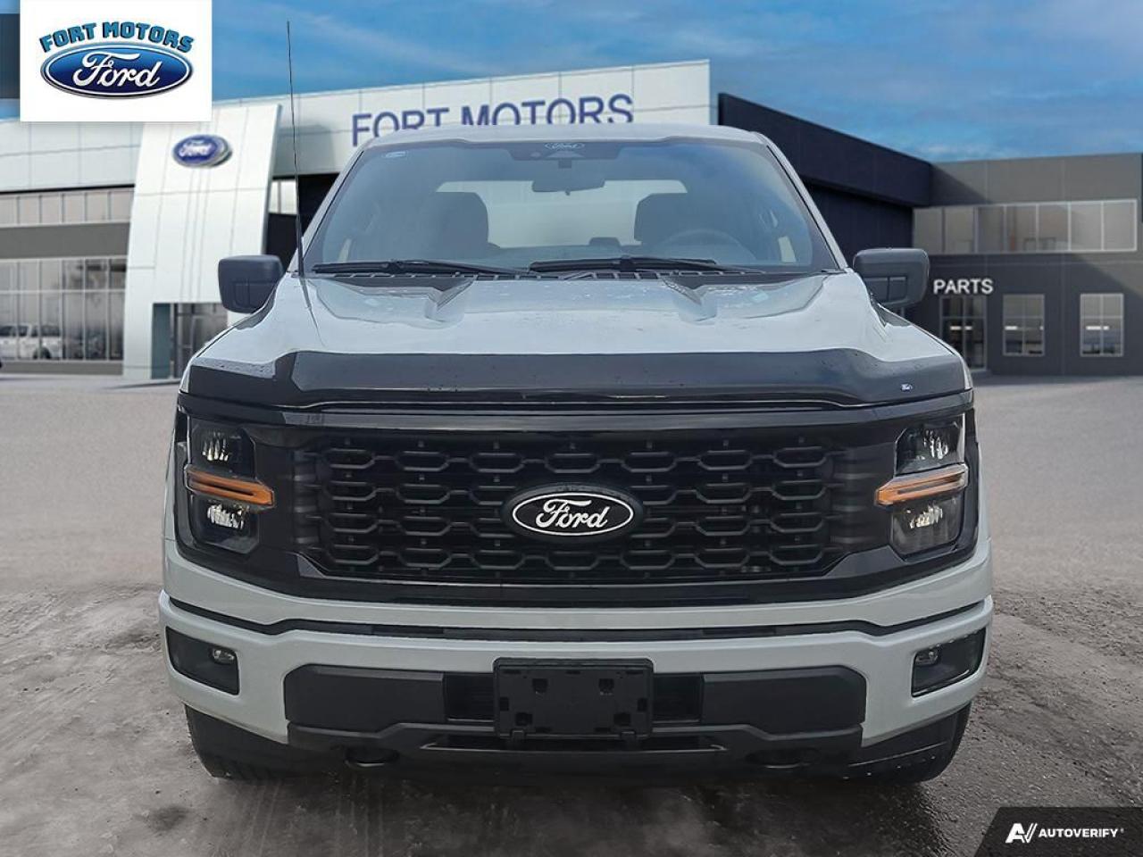 2024 Ford F-150 STX® Photo