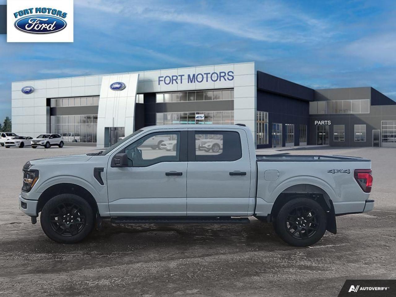 2024 Ford F-150 STX® Photo