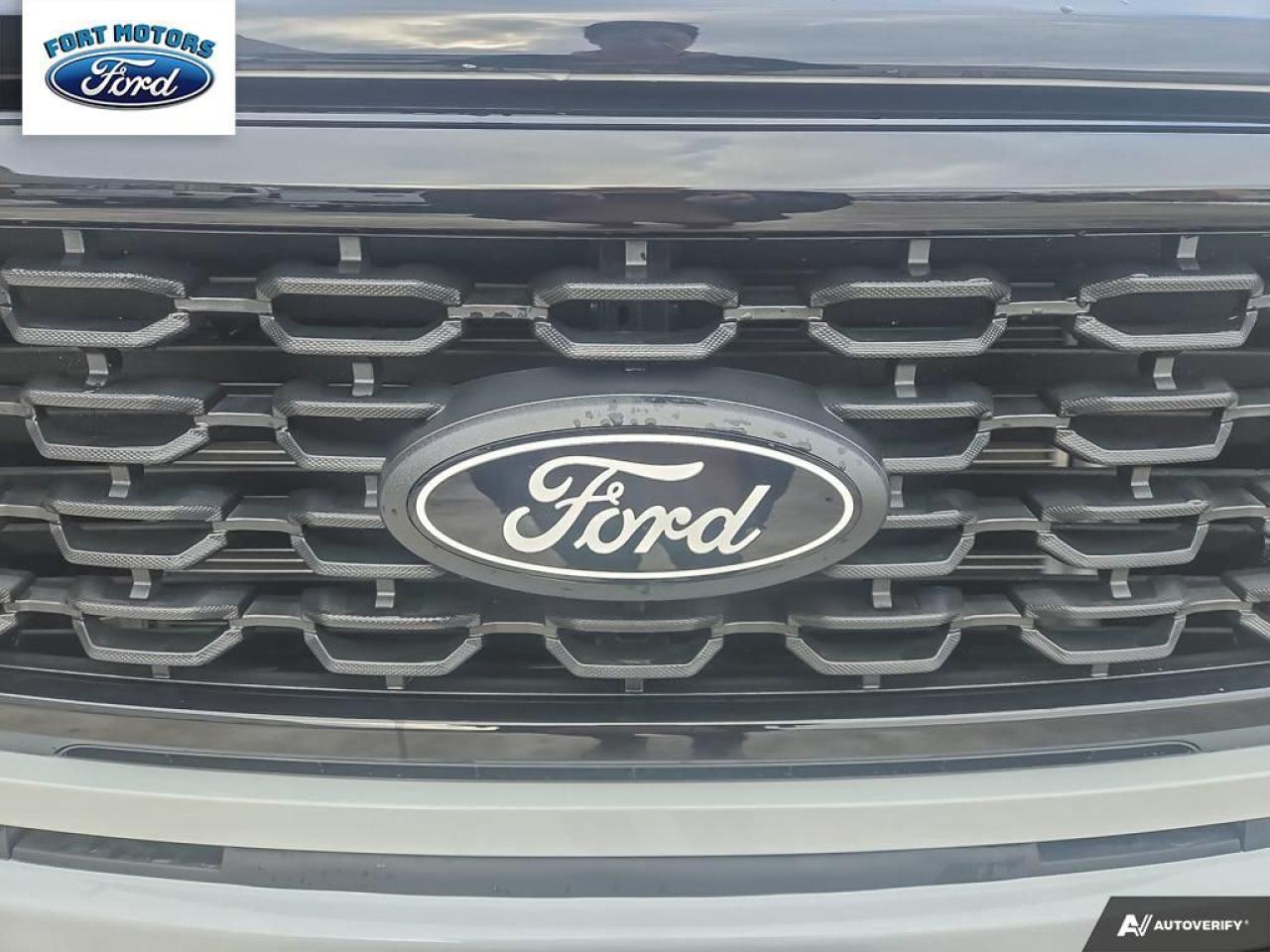 2024 Ford F-150 STX® Photo5