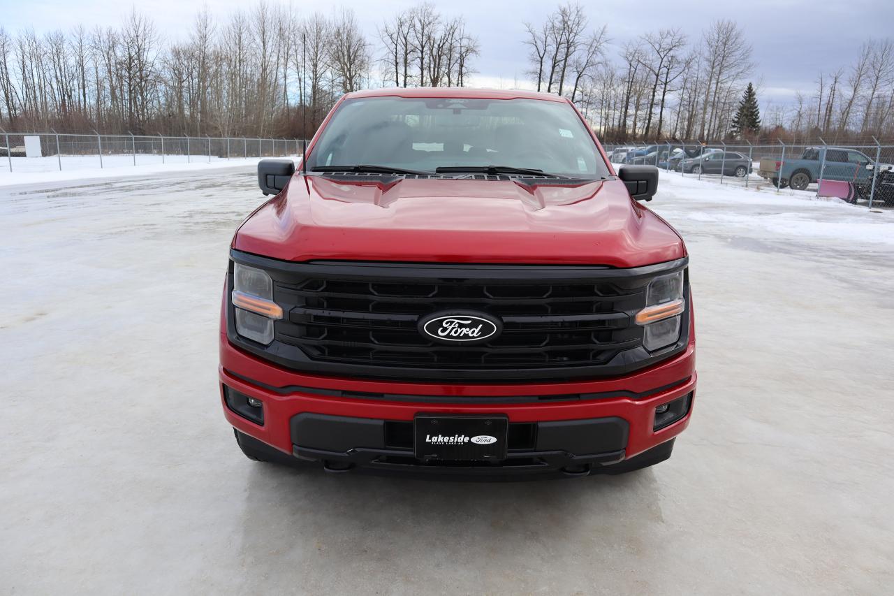 2024 Ford F-150 XLT Photo