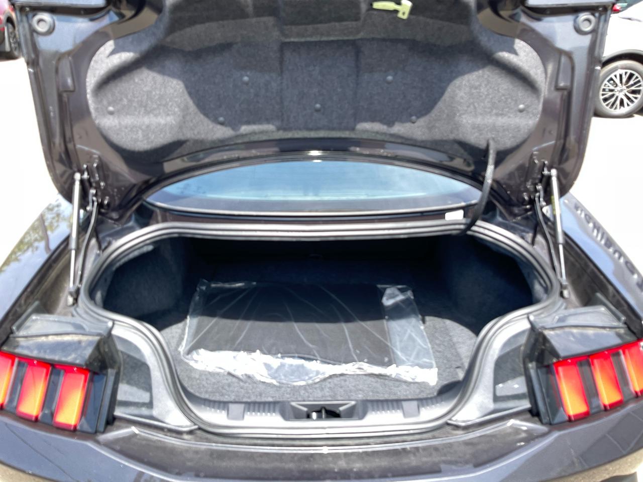 2024 Ford Mustang EcoBoost Photo5