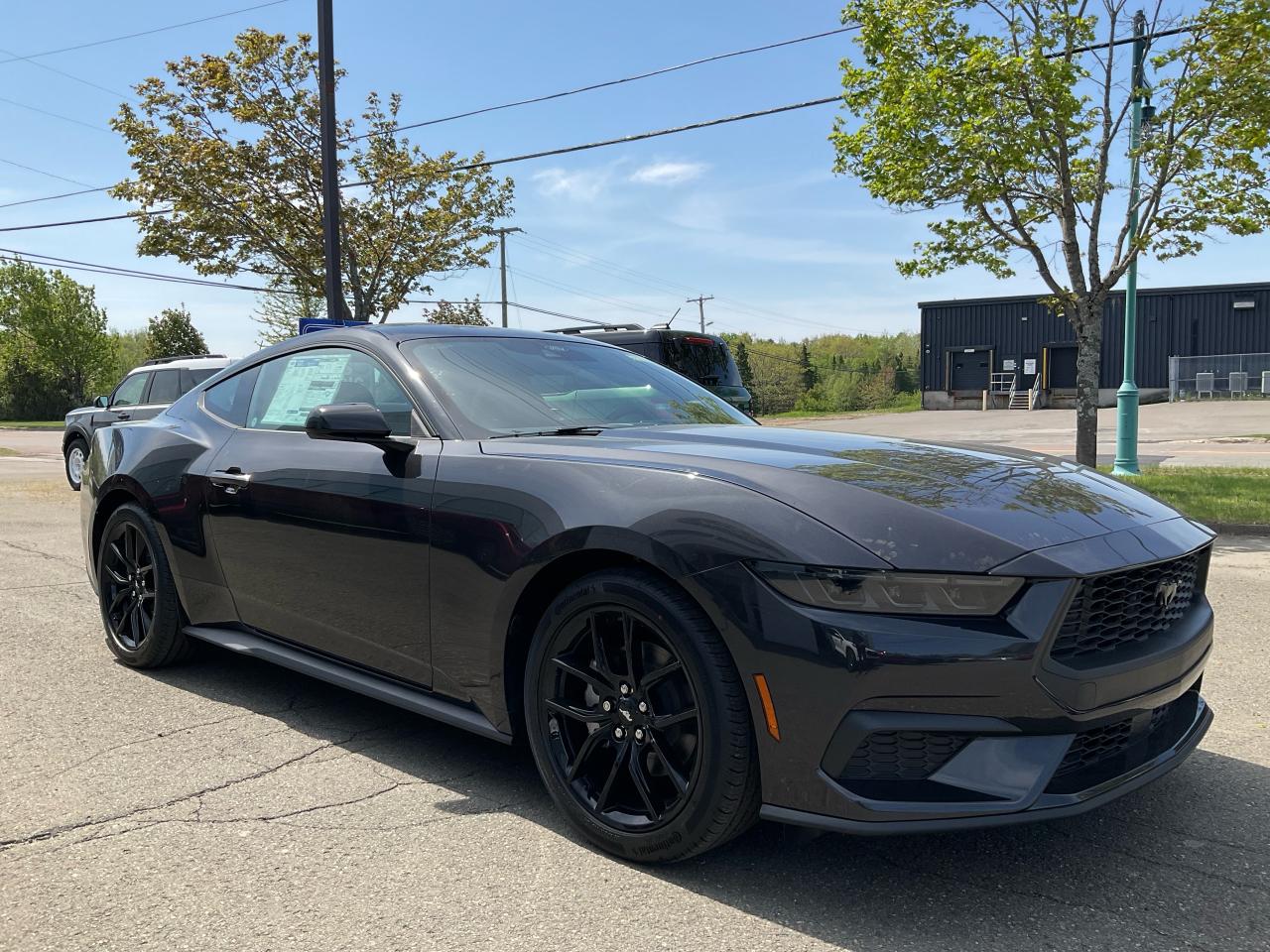 2024 Ford Mustang EcoBoost Photo2