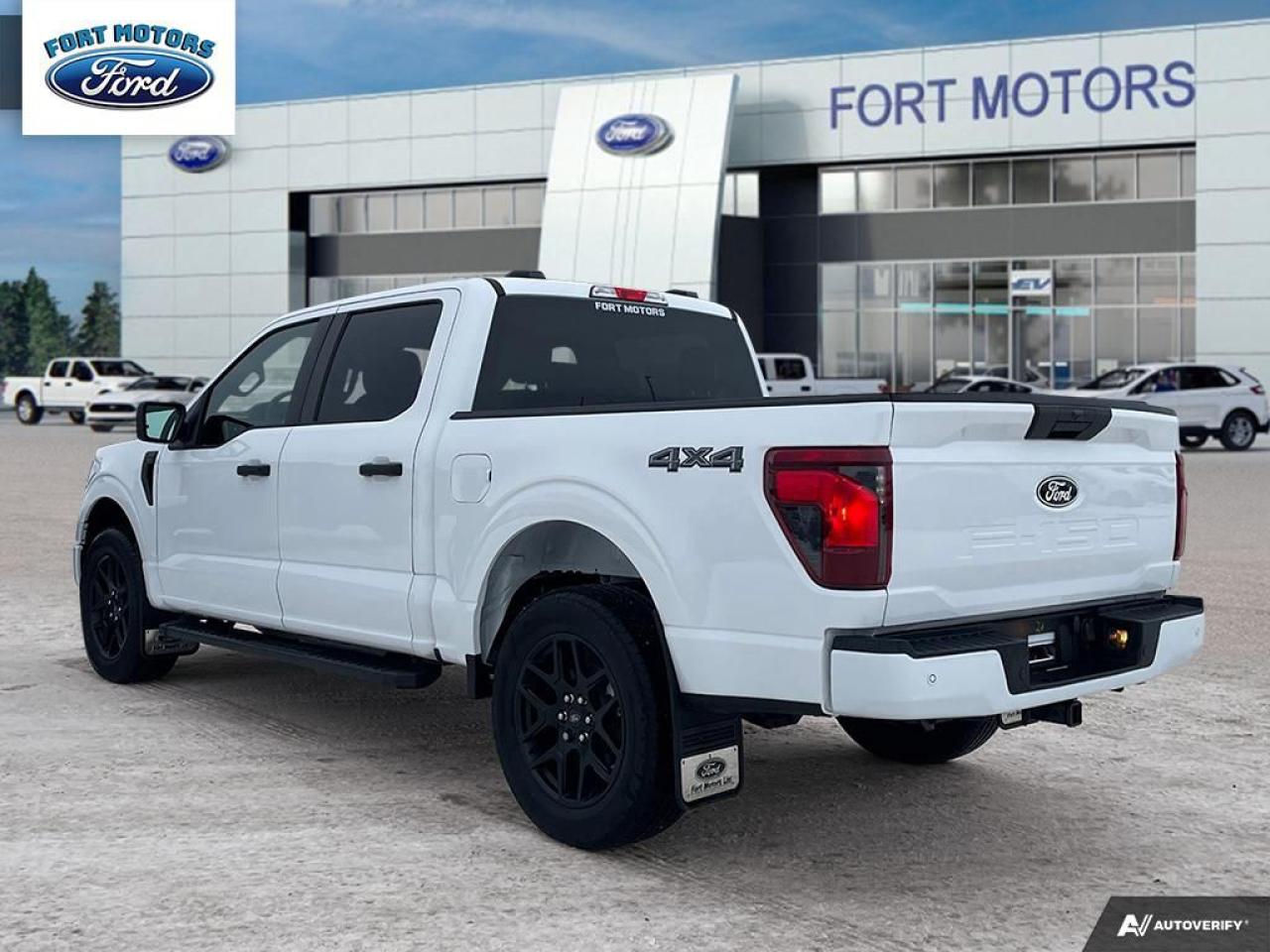 2024 Ford F-150 STX® Photo