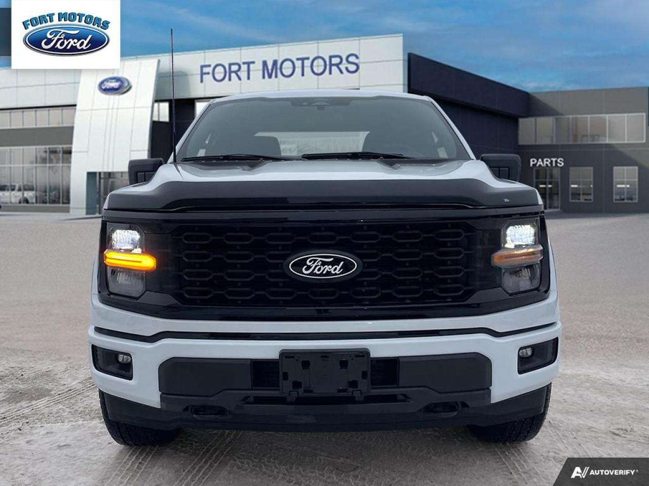 2024 Ford F-150 STX® Photo