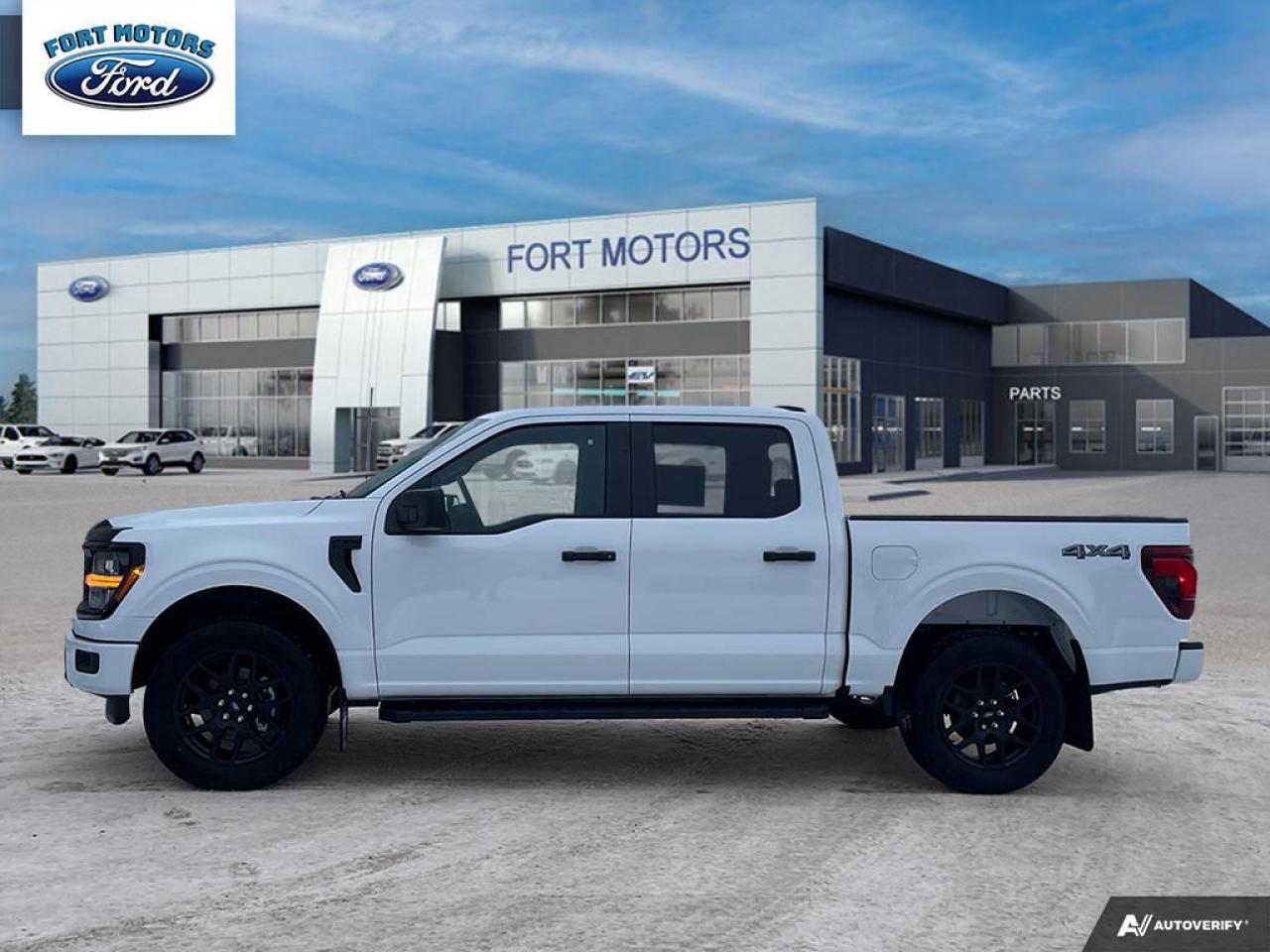 2024 Ford F-150 STX® Photo