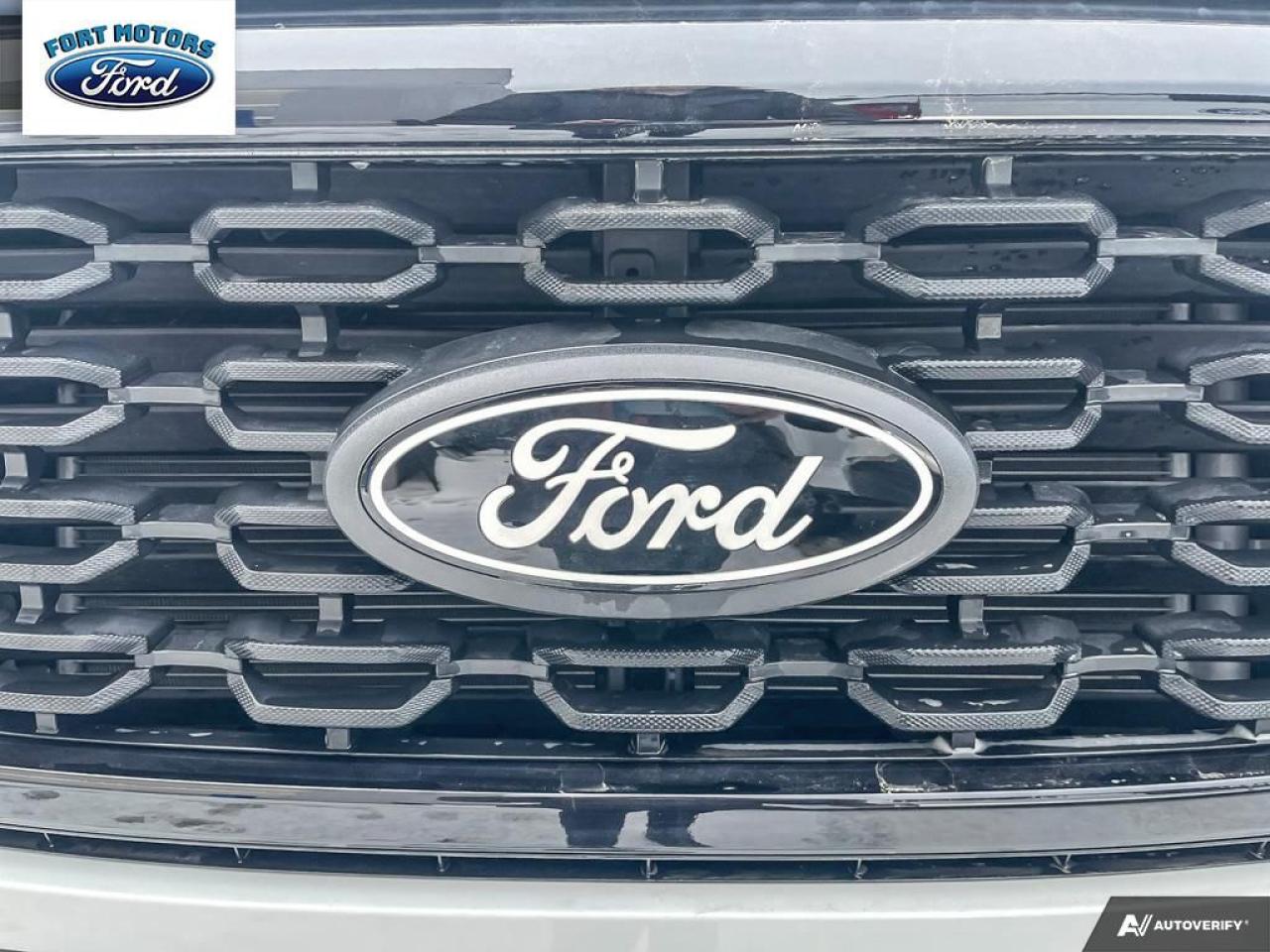 2024 Ford F-150 STX® Photo5