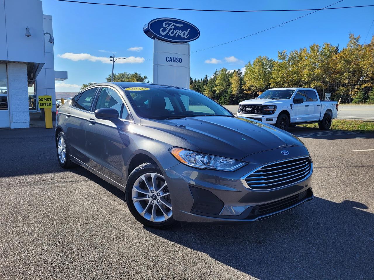 Used 2019 Ford Fusion SE FWD W/ ONE OWNER for sale in Port Hawkesbury, NS