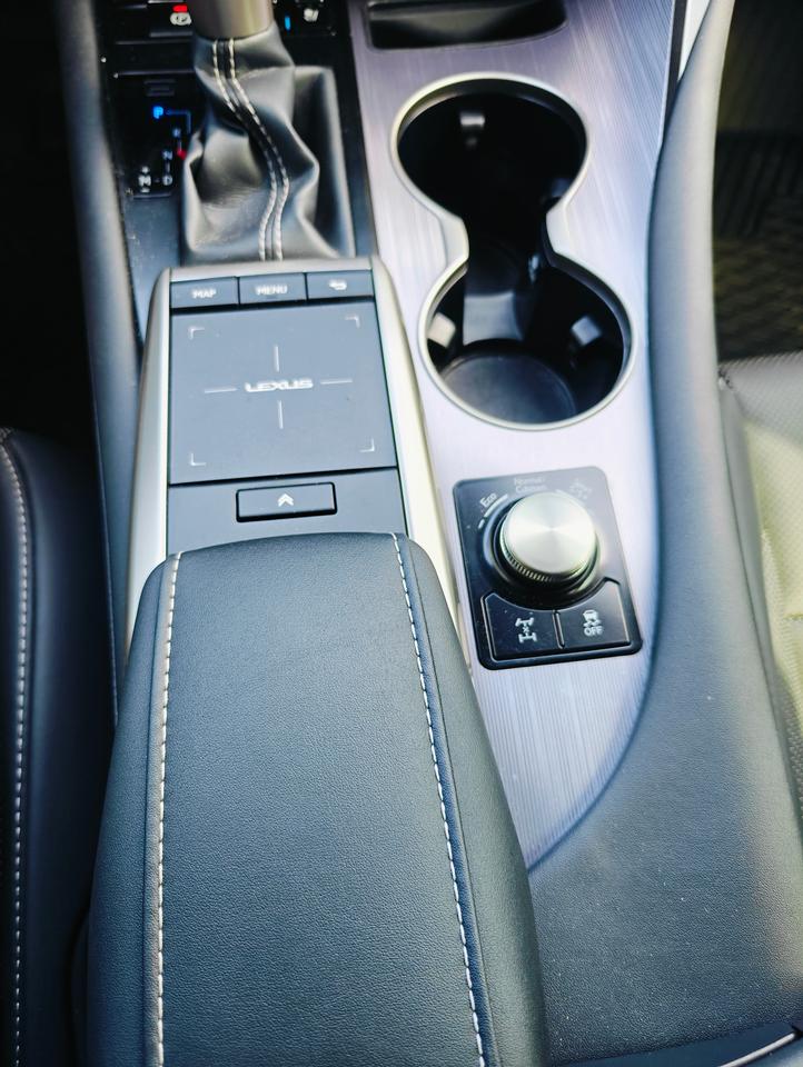 2022 Lexus RX RX 350 F-Sport • Low Mileage - Photo #22