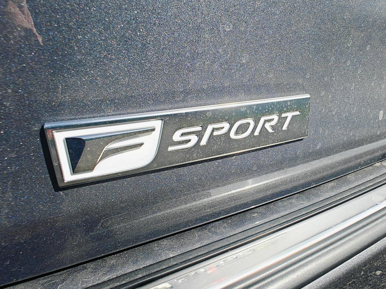 2022 Lexus RX RX 350 F-Sport • Low Mileage Photo