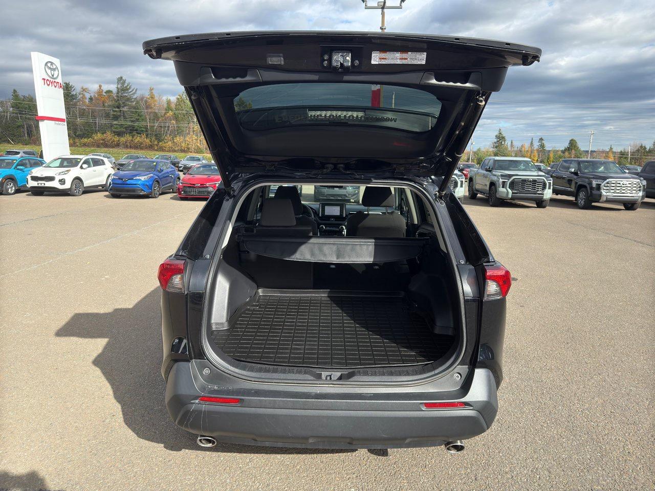 2020 Toyota RAV4 Hybrid XLE Photo