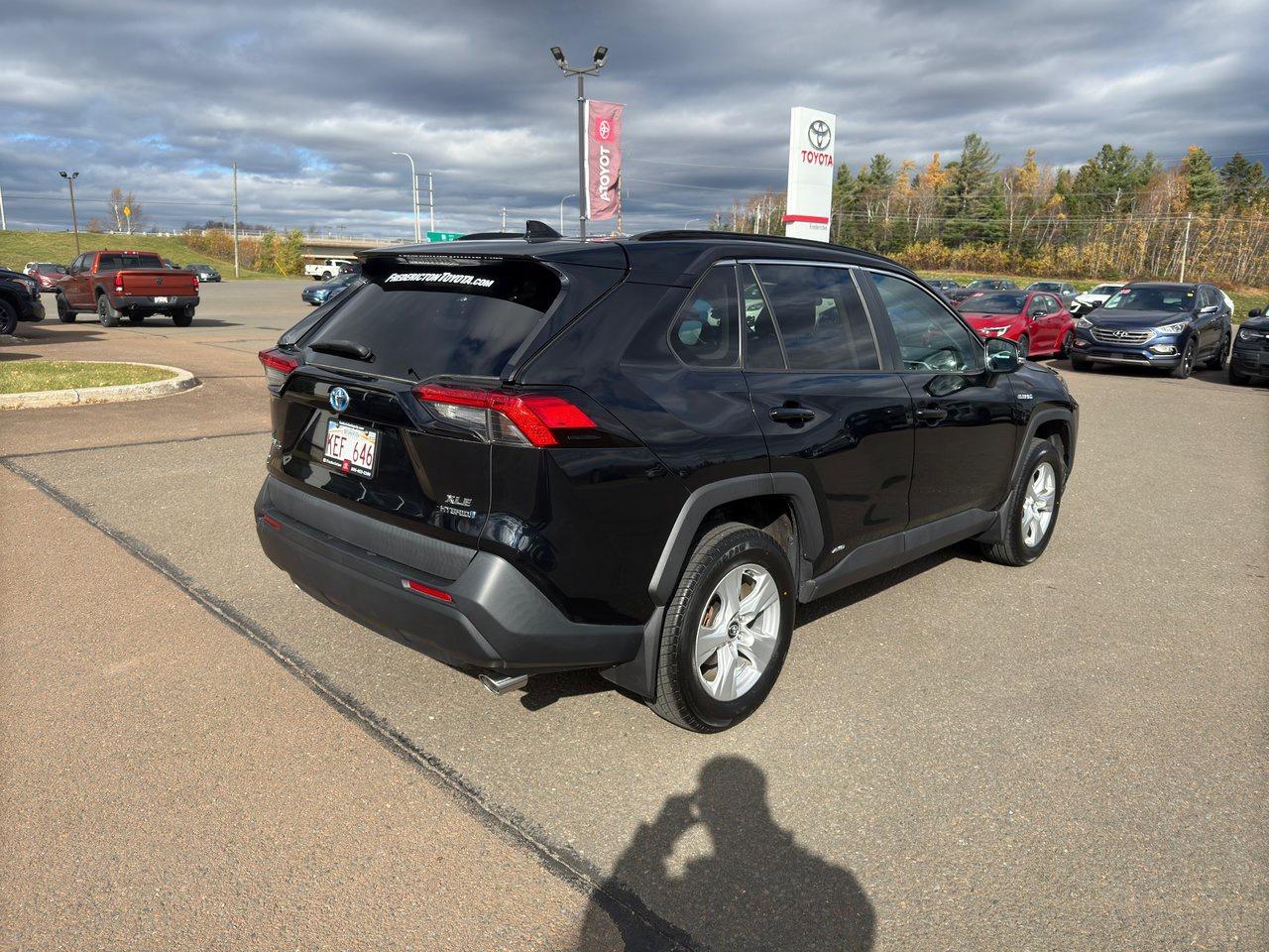 2020 Toyota RAV4 Hybrid XLE Photo