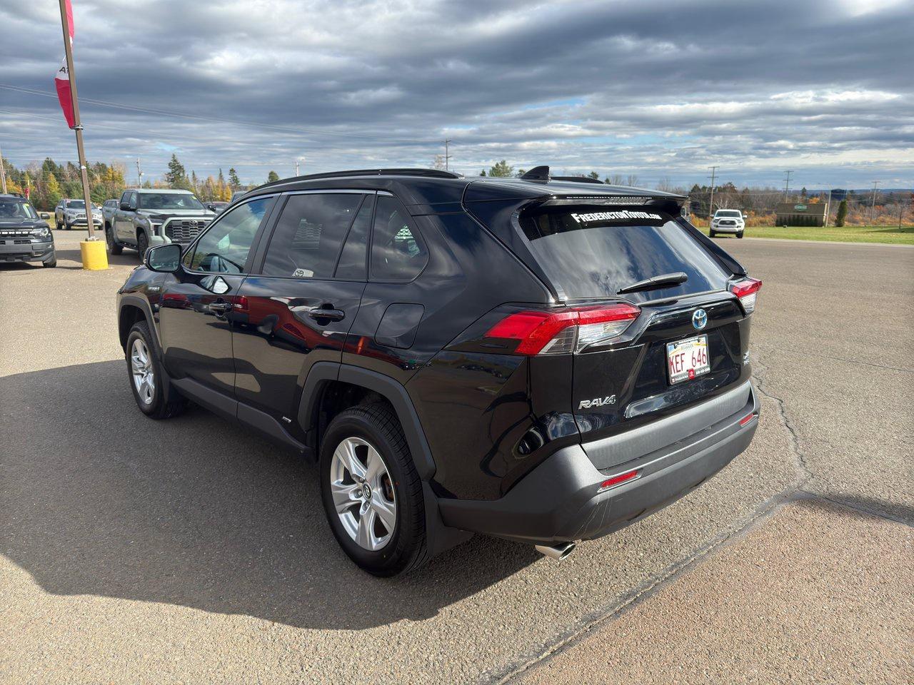 2020 Toyota RAV4 Hybrid XLE Photo