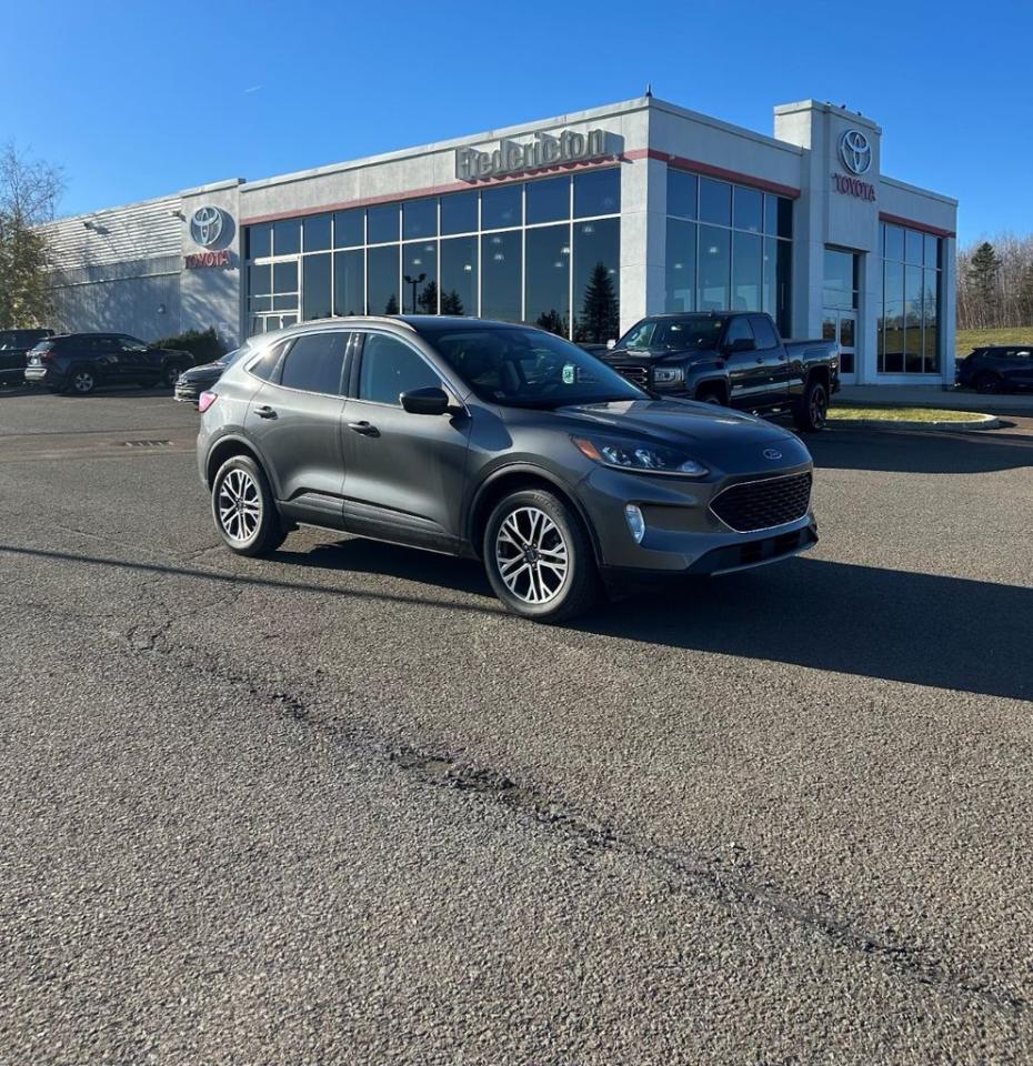 Used 2021 Ford Escape SEL for sale in Fredericton, NB