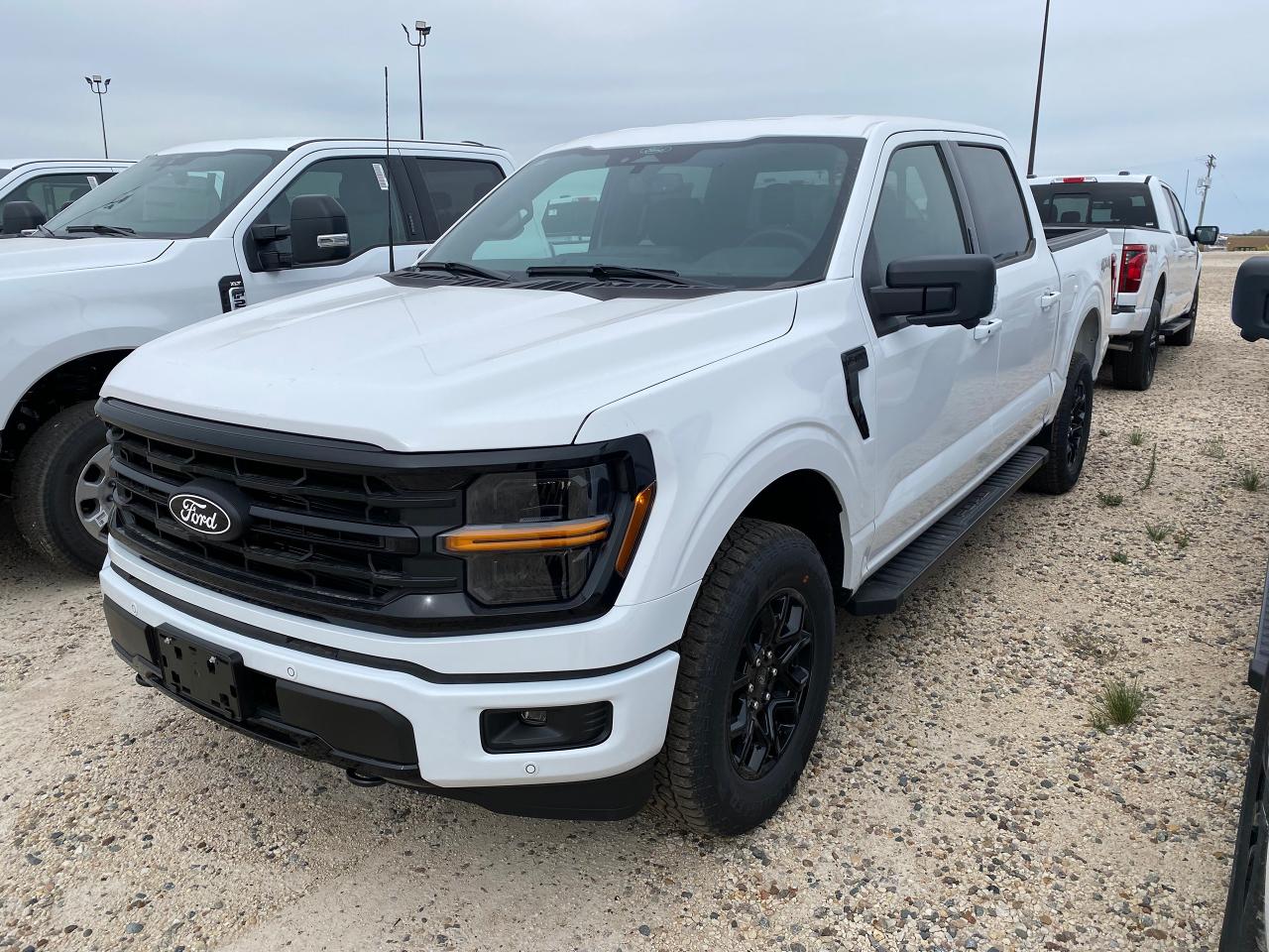 New 2024 Ford F-150 XLT 4WD SuperCrew 5.5' Box 302A for sale in Elie, MB