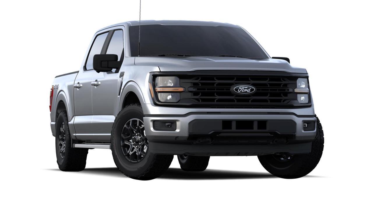 2024 Ford F-150 XLT Photo