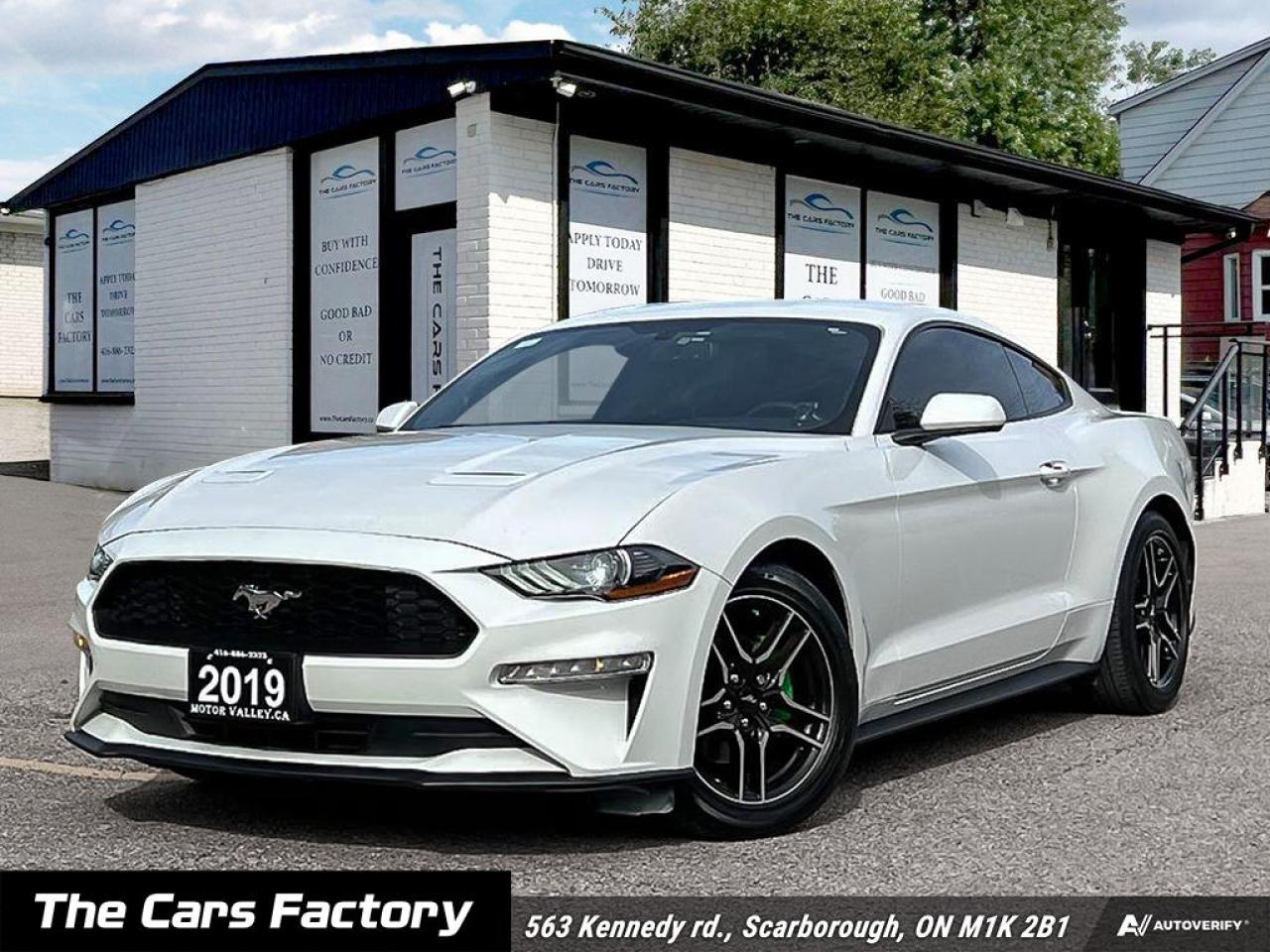 <p>Experience the thrill of driving with this stunning 2019 Ford Mustang Ecoboost Fastback! With its sleek white exterior and sophisticated black interior, this car is sure to turn heads.</p><p><strong>Key Features:</strong></p><ul><li><strong>1 Owner, No Accidents:</strong> Enjoy peace of mind with a well-maintained vehicle.</li><li><strong>Push Start Ignition:</strong> Enjoy the convenience of starting your engine with just a button.</li><li><strong>Heated Steering Wheel:</strong> Stay warm and comfortable on cooler days.</li><li><strong>Sport/Eco Mode:</strong> Choose your driving experience—go for a spirited ride or maximize fuel efficiency.</li><li><strong>6-Speed Manual Transmission:</strong> Feel the power and control as you take on the road.</li><li><strong>Ice Cold A/C:</strong> Stay cool and comfortable on every drive.</li><li><strong>Apple CarPlay:</strong> Seamlessly integrates your smartphone for navigation, music, and more.</li><li><strong>Backup Camera:</strong> Park with confidence and enhance your safety.</li></ul><p>This Mustang is not just a car; its a lifestyle. With its impressive performance and stylish design, it’s perfect for anyone looking to elevate their driving experience. </p><p>With just <strong>083,966 km</strong> on the odometer, this Mustang is in great condition and ready for its next adventure.</p><p>Dont miss out on this opportunity to own a piece of American muscle. <strong>Contact us today to schedule a test drive!</strong></p><p> </p><p style=border: 0px solid #e5e7eb; box-sizing: border-box; --tw-border-spacing-x: 0; --tw-border-spacing-y: 0; --tw-translate-x: 0; --tw-translate-y: 0; --tw-rotate: 0; --tw-skew-x: 0; --tw-skew-y: 0; --tw-scale-x: 1; --tw-scale-y: 1; --tw-scroll-snap-strictness: proximity; --tw-ring-offset-width: 0px; --tw-ring-offset-color: #fff; --tw-ring-color: rgba(59,130,246,.5); --tw-ring-offset-shadow: 0 0 #0000; --tw-ring-shadow: 0 0 #0000; --tw-shadow: 0 0 #0000; --tw-shadow-colored: 0 0 #0000; margin: 0px 0px 1rem; font-size: 16px; color: #212529; font-family: open-sans, -apple-system, BlinkMacSystemFont, Segoe UI, Roboto, Oxygen, Ubuntu, Cantarell, Fira Sans, Droid Sans, Helvetica Neue, sans-serif; background-color: #ffffff;><span style=border: 0px solid #e5e7eb; box-sizing: border-box; --tw-border-spacing-x: 0; --tw-border-spacing-y: 0; --tw-translate-x: 0; --tw-translate-y: 0; --tw-rotate: 0; --tw-skew-x: 0; --tw-skew-y: 0; --tw-scale-x: 1; --tw-scale-y: 1; --tw-scroll-snap-strictness: proximity; --tw-ring-offset-width: 0px; --tw-ring-offset-color: #fff; --tw-ring-color: rgba(59,130,246,.5); --tw-ring-offset-shadow: 0 0 #0000; --tw-ring-shadow: 0 0 #0000; --tw-shadow: 0 0 #0000; --tw-shadow-colored: 0 0 #0000; font-weight: bolder;>Welcome to The Cars Factory!</span></p><p style=border: 0px solid #e5e7eb; box-sizing: border-box; --tw-border-spacing-x: 0; --tw-border-spacing-y: 0; --tw-translate-x: 0; --tw-translate-y: 0; --tw-rotate: 0; --tw-skew-x: 0; --tw-skew-y: 0; --tw-scale-x: 1; --tw-scale-y: 1; --tw-scroll-snap-strictness: proximity; --tw-ring-offset-width: 0px; --tw-ring-offset-color: #fff; --tw-ring-color: rgba(59,130,246,.5); --tw-ring-offset-shadow: 0 0 #0000; --tw-ring-shadow: 0 0 #0000; --tw-shadow: 0 0 #0000; --tw-shadow-colored: 0 0 #0000; margin: 0px 0px 1rem; font-size: 16px; color: #212529; font-family: open-sans, -apple-system, BlinkMacSystemFont, Segoe UI, Roboto, Oxygen, Ubuntu, Cantarell, Fira Sans, Droid Sans, Helvetica Neue, sans-serif; background-color: #ffffff;>We operate by appointment and are located at <span style=border: 0px solid #e5e7eb; box-sizing: border-box; --tw-border-spacing-x: 0; --tw-border-spacing-y: 0; --tw-translate-x: 0; --tw-translate-y: 0; --tw-rotate: 0; --tw-skew-x: 0; --tw-skew-y: 0; --tw-scale-x: 1; --tw-scale-y: 1; --tw-scroll-snap-strictness: proximity; --tw-ring-offset-width: 0px; --tw-ring-offset-color: #fff; --tw-ring-color: rgba(59,130,246,.5); --tw-ring-offset-shadow: 0 0 #0000; --tw-ring-shadow: 0 0 #0000; --tw-shadow: 0 0 #0000; --tw-shadow-colored: 0 0 #0000; font-weight: bolder;>563 Kennedy Rd., Scarborough, Ontario, Canada.</span></p><hr style=border-top: 0px; border-right-style: initial; border-bottom-style: initial; border-left-style: initial; border-right-color: initial; border-bottom-color: initial; border-left-color: initial; border-image: initial; box-sizing: border-box; --tw-border-spacing-x: 0; --tw-border-spacing-y: 0; --tw-translate-x: 0; --tw-translate-y: 0; --tw-rotate: 0; --tw-skew-x: 0; --tw-skew-y: 0; --tw-scale-x: 1; --tw-scale-y: 1; --tw-scroll-snap-strictness: proximity; --tw-ring-offset-width: 0px; --tw-ring-offset-color: #fff; --tw-ring-color: rgba(59,130,246,.5); --tw-ring-offset-shadow: 0 0 #0000; --tw-ring-shadow: 0 0 #0000; --tw-shadow: 0 0 #0000; --tw-shadow-colored: 0 0 #0000; color: #212529; height: 1px; margin: 1rem 0px; font-size: 16px; opacity: 0.25; font-family: open-sans, -apple-system, BlinkMacSystemFont, Segoe UI, Roboto, Oxygen, Ubuntu, Cantarell, Fira Sans, Droid Sans, Helvetica Neue, sans-serif; /><p style=border: 0px solid #e5e7eb; box-sizing: border-box; --tw-border-spacing-x: 0; --tw-border-spacing-y: 0; --tw-translate-x: 0; --tw-translate-y: 0; --tw-rotate: 0; --tw-skew-x: 0; --tw-skew-y: 0; --tw-scale-x: 1; --tw-scale-y: 1; --tw-scroll-snap-strictness: proximity; --tw-ring-offset-width: 0px; --tw-ring-offset-color: #fff; --tw-ring-color: rgba(59,130,246,.5); --tw-ring-offset-shadow: 0 0 #0000; --tw-ring-shadow: 0 0 #0000; --tw-shadow: 0 0 #0000; --tw-shadow-colored: 0 0 #0000; margin: 0px 0px 1rem; font-size: 16px; color: #212529; font-family: open-sans, -apple-system, BlinkMacSystemFont, Segoe UI, Roboto, Oxygen, Ubuntu, Cantarell, Fira Sans, Droid Sans, Helvetica Neue, sans-serif; background-color: #ffffff;><span style=border: 0px solid #e5e7eb; box-sizing: border-box; --tw-border-spacing-x: 0; --tw-border-spacing-y: 0; --tw-translate-x: 0; --tw-translate-y: 0; --tw-rotate: 0; --tw-skew-x: 0; --tw-skew-y: 0; --tw-scale-x: 1; --tw-scale-y: 1; --tw-scroll-snap-strictness: proximity; --tw-ring-offset-width: 0px; --tw-ring-offset-color: #fff; --tw-ring-color: rgba(59,130,246,.5); --tw-ring-offset-shadow: 0 0 #0000; --tw-ring-shadow: 0 0 #0000; --tw-shadow: 0 0 #0000; --tw-shadow-colored: 0 0 #0000; font-weight: bolder;>CERTIFICATION</span></p><p style=border: 0px solid #e5e7eb; box-sizing: border-box; --tw-border-spacing-x: 0; --tw-border-spacing-y: 0; --tw-translate-x: 0; --tw-translate-y: 0; --tw-rotate: 0; --tw-skew-x: 0; --tw-skew-y: 0; --tw-scale-x: 1; --tw-scale-y: 1; --tw-scroll-snap-strictness: proximity; --tw-ring-offset-width: 0px; --tw-ring-offset-color: #fff; --tw-ring-color: rgba(59,130,246,.5); --tw-ring-offset-shadow: 0 0 #0000; --tw-ring-shadow: 0 0 #0000; --tw-shadow: 0 0 #0000; --tw-shadow-colored: 0 0 #0000; margin: 0px 0px 1rem; font-size: 16px; color: #212529; font-family: open-sans, -apple-system, BlinkMacSystemFont, Segoe UI, Roboto, Oxygen, Ubuntu, Cantarell, Fira Sans, Droid Sans, Helvetica Neue, sans-serif; background-color: #ffffff;>Have your new pre-owned vehicle certified by The Cars Factory! We offer a full safety inspection exceeding industry standards, including an oil change and professional detailing prior to delivery. Vehicles are not drivable if not certified and not e-tested. A certification package is available for $899. All trade-ins are welcome. Taxes and licensing are extra.</p><hr style=border-top: 0px; border-right-style: initial; border-bottom-style: initial; border-left-style: initial; border-right-color: initial; border-bottom-color: initial; border-left-color: initial; border-image: initial; box-sizing: border-box; --tw-border-spacing-x: 0; --tw-border-spacing-y: 0; --tw-translate-x: 0; --tw-translate-y: 0; --tw-rotate: 0; --tw-skew-x: 0; --tw-skew-y: 0; --tw-scale-x: 1; --tw-scale-y: 1; --tw-scroll-snap-strictness: proximity; --tw-ring-offset-width: 0px; --tw-ring-offset-color: #fff; --tw-ring-color: rgba(59,130,246,.5); --tw-ring-offset-shadow: 0 0 #0000; --tw-ring-shadow: 0 0 #0000; --tw-shadow: 0 0 #0000; --tw-shadow-colored: 0 0 #0000; color: #212529; height: 1px; margin: 1rem 0px; font-size: 16px; opacity: 0.25; font-family: open-sans, -apple-system, BlinkMacSystemFont, Segoe UI, Roboto, Oxygen, Ubuntu, Cantarell, Fira Sans, Droid Sans, Helvetica Neue, sans-serif; /><p style=border: 0px solid #e5e7eb; box-sizing: border-box; --tw-border-spacing-x: 0; --tw-border-spacing-y: 0; --tw-translate-x: 0; --tw-translate-y: 0; --tw-rotate: 0; --tw-skew-x: 0; --tw-skew-y: 0; --tw-scale-x: 1; --tw-scale-y: 1; --tw-scroll-snap-strictness: proximity; --tw-ring-offset-width: 0px; --tw-ring-offset-color: #fff; --tw-ring-color: rgba(59,130,246,.5); --tw-ring-offset-shadow: 0 0 #0000; --tw-ring-shadow: 0 0 #0000; --tw-shadow: 0 0 #0000; --tw-shadow-colored: 0 0 #0000; margin: 0px 0px 1rem; font-size: 16px; color: #212529; font-family: open-sans, -apple-system, BlinkMacSystemFont, Segoe UI, Roboto, Oxygen, Ubuntu, Cantarell, Fira Sans, Droid Sans, Helvetica Neue, sans-serif; background-color: #ffffff;><span style=border: 0px solid #e5e7eb; box-sizing: border-box; --tw-border-spacing-x: 0; --tw-border-spacing-y: 0; --tw-translate-x: 0; --tw-translate-y: 0; --tw-rotate: 0; --tw-skew-x: 0; --tw-skew-y: 0; --tw-scale-x: 1; --tw-scale-y: 1; --tw-scroll-snap-strictness: proximity; --tw-ring-offset-width: 0px; --tw-ring-offset-color: #fff; --tw-ring-color: rgba(59,130,246,.5); --tw-ring-offset-shadow: 0 0 #0000; --tw-ring-shadow: 0 0 #0000; --tw-shadow: 0 0 #0000; --tw-shadow-colored: 0 0 #0000; font-weight: bolder;>FINANCING</span></p><p style=border: 0px solid #e5e7eb; box-sizing: border-box; --tw-border-spacing-x: 0; --tw-border-spacing-y: 0; --tw-translate-x: 0; --tw-translate-y: 0; --tw-rotate: 0; --tw-skew-x: 0; --tw-skew-y: 0; --tw-scale-x: 1; --tw-scale-y: 1; --tw-scroll-snap-strictness: proximity; --tw-ring-offset-width: 0px; --tw-ring-offset-color: #fff; --tw-ring-color: rgba(59,130,246,.5); --tw-ring-offset-shadow: 0 0 #0000; --tw-ring-shadow: 0 0 #0000; --tw-shadow: 0 0 #0000; --tw-shadow-colored: 0 0 #0000; margin: 0px 0px 1rem; font-size: 16px; color: #212529; font-family: open-sans, -apple-system, BlinkMacSystemFont, Segoe UI, Roboto, Oxygen, Ubuntu, Cantarell, Fira Sans, Droid Sans, Helvetica Neue, sans-serif; background-color: #ffffff;>Experience hassle-free financing tailored to your needs. Whether you have no credit, are new to the country, or have a history of bankruptcy, consumer proposals, or collections, our finance and credit experts specialize in securing approvals. Bad credit is often sufficient. Seize the opportunity to get approved and start rebuilding your credit today. Please note that financing deals are subject to an administrative fee. Benefit from on-the-spot financing and enjoy instant approvals for a seamless process.</p><hr style=border-top: 0px; border-right-style: initial; border-bottom-style: initial; border-left-style: initial; border-right-color: initial; border-bottom-color: initial; border-left-color: initial; border-image: initial; box-sizing: border-box; --tw-border-spacing-x: 0; --tw-border-spacing-y: 0; --tw-translate-x: 0; --tw-translate-y: 0; --tw-rotate: 0; --tw-skew-x: 0; --tw-skew-y: 0; --tw-scale-x: 1; --tw-scale-y: 1; --tw-scroll-snap-strictness: proximity; --tw-ring-offset-width: 0px; --tw-ring-offset-color: #fff; --tw-ring-color: rgba(59,130,246,.5); --tw-ring-offset-shadow: 0 0 #0000; --tw-ring-shadow: 0 0 #0000; --tw-shadow: 0 0 #0000; --tw-shadow-colored: 0 0 #0000; color: #212529; height: 1px; margin: 1rem 0px; font-size: 16px; opacity: 0.25; font-family: open-sans, -apple-system, BlinkMacSystemFont, Segoe UI, Roboto, Oxygen, Ubuntu, Cantarell, Fira Sans, Droid Sans, Helvetica Neue, sans-serif; /><p style=border: 0px solid #e5e7eb; box-sizing: border-box; --tw-border-spacing-x: 0; --tw-border-spacing-y: 0; --tw-translate-x: 0; --tw-translate-y: 0; --tw-rotate: 0; --tw-skew-x: 0; --tw-skew-y: 0; --tw-scale-x: 1; --tw-scale-y: 1; --tw-scroll-snap-strictness: proximity; --tw-ring-offset-width: 0px; --tw-ring-offset-color: #fff; --tw-ring-color: rgba(59,130,246,.5); --tw-ring-offset-shadow: 0 0 #0000; --tw-ring-shadow: 0 0 #0000; --tw-shadow: 0 0 #0000; --tw-shadow-colored: 0 0 #0000; margin: 0px 0px 1rem; font-size: 16px; color: #212529; font-family: open-sans, -apple-system, BlinkMacSystemFont, Segoe UI, Roboto, Oxygen, Ubuntu, Cantarell, Fira Sans, Droid Sans, Helvetica Neue, sans-serif; background-color: #ffffff;><span style=border: 0px solid #e5e7eb; box-sizing: border-box; --tw-border-spacing-x: 0; --tw-border-spacing-y: 0; --tw-translate-x: 0; --tw-translate-y: 0; --tw-rotate: 0; --tw-skew-x: 0; --tw-skew-y: 0; --tw-scale-x: 1; --tw-scale-y: 1; --tw-scroll-snap-strictness: proximity; --tw-ring-offset-width: 0px; --tw-ring-offset-color: #fff; --tw-ring-color: rgba(59,130,246,.5); --tw-ring-offset-shadow: 0 0 #0000; --tw-ring-shadow: 0 0 #0000; --tw-shadow: 0 0 #0000; --tw-shadow-colored: 0 0 #0000; font-weight: bolder;>WARRANTY</span></p><p style=border: 0px solid #e5e7eb; box-sizing: border-box; --tw-border-spacing-x: 0; --tw-border-spacing-y: 0; --tw-translate-x: 0; --tw-translate-y: 0; --tw-rotate: 0; --tw-skew-x: 0; --tw-skew-y: 0; --tw-scale-x: 1; --tw-scale-y: 1; --tw-scroll-snap-strictness: proximity; --tw-ring-offset-width: 0px; --tw-ring-offset-color: #fff; --tw-ring-color: rgba(59,130,246,.5); --tw-ring-offset-shadow: 0 0 #0000; --tw-ring-shadow: 0 0 #0000; --tw-shadow: 0 0 #0000; --tw-shadow-colored: 0 0 #0000; margin: 0px 0px 1rem; font-size: 16px; color: #212529; font-family: open-sans, -apple-system, BlinkMacSystemFont, Segoe UI, Roboto, Oxygen, Ubuntu, Cantarell, Fira Sans, Droid Sans, Helvetica Neue, sans-serif; background-color: #ffffff;>Extend your peace of mind with an eligible extended warranty for this vehicle. Explore customizable coverage options for added assurance. Consult with our team to select the ideal plan for your needs.</p><hr style=border-top: 0px; border-right-style: initial; border-bottom-style: initial; border-left-style: initial; border-right-color: initial; border-bottom-color: initial; border-left-color: initial; border-image: initial; box-sizing: border-box; --tw-border-spacing-x: 0; --tw-border-spacing-y: 0; --tw-translate-x: 0; --tw-translate-y: 0; --tw-rotate: 0; --tw-skew-x: 0; --tw-skew-y: 0; --tw-scale-x: 1; --tw-scale-y: 1; --tw-scroll-snap-strictness: proximity; --tw-ring-offset-width: 0px; --tw-ring-offset-color: #fff; --tw-ring-color: rgba(59,130,246,.5); --tw-ring-offset-shadow: 0 0 #0000; --tw-ring-shadow: 0 0 #0000; --tw-shadow: 0 0 #0000; --tw-shadow-colored: 0 0 #0000; color: #212529; height: 1px; margin: 1rem 0px; font-size: 16px; opacity: 0.25; font-family: open-sans, -apple-system, BlinkMacSystemFont, Segoe UI, Roboto, Oxygen, Ubuntu, Cantarell, Fira Sans, Droid Sans, Helvetica Neue, sans-serif; /><p style=border: 0px solid #e5e7eb; box-sizing: border-box; --tw-border-spacing-x: 0; --tw-border-spacing-y: 0; --tw-translate-x: 0; --tw-translate-y: 0; --tw-rotate: 0; --tw-skew-x: 0; --tw-skew-y: 0; --tw-scale-x: 1; --tw-scale-y: 1; --tw-scroll-snap-strictness: proximity; --tw-ring-offset-width: 0px; --tw-ring-offset-color: #fff; --tw-ring-color: rgba(59,130,246,.5); --tw-ring-offset-shadow: 0 0 #0000; --tw-ring-shadow: 0 0 #0000; --tw-shadow: 0 0 #0000; --tw-shadow-colored: 0 0 #0000; margin: 0px 0px 1rem; font-size: 16px; color: #212529; font-family: open-sans, -apple-system, BlinkMacSystemFont, Segoe UI, Roboto, Oxygen, Ubuntu, Cantarell, Fira Sans, Droid Sans, Helvetica Neue, sans-serif; background-color: #ffffff;><span style=border: 0px solid #e5e7eb; box-sizing: border-box; --tw-border-spacing-x: 0; --tw-border-spacing-y: 0; --tw-translate-x: 0; --tw-translate-y: 0; --tw-rotate: 0; --tw-skew-x: 0; --tw-skew-y: 0; --tw-scale-x: 1; --tw-scale-y: 1; --tw-scroll-snap-strictness: proximity; --tw-ring-offset-width: 0px; --tw-ring-offset-color: #fff; --tw-ring-color: rgba(59,130,246,.5); --tw-ring-offset-shadow: 0 0 #0000; --tw-ring-shadow: 0 0 #0000; --tw-shadow: 0 0 #0000; --tw-shadow-colored: 0 0 #0000; font-weight: bolder;>PRICE</span></p><p style=border: 0px solid #e5e7eb; box-sizing: border-box; --tw-border-spacing-x: 0; --tw-border-spacing-y: 0; --tw-translate-x: 0; --tw-translate-y: 0; --tw-rotate: 0; --tw-skew-x: 0; --tw-skew-y: 0; --tw-scale-x: 1; --tw-scale-y: 1; --tw-scroll-snap-strictness: proximity; --tw-ring-offset-width: 0px; --tw-ring-offset-color: #fff; --tw-ring-color: rgba(59,130,246,.5); --tw-ring-offset-shadow: 0 0 #0000; --tw-ring-shadow: 0 0 #0000; --tw-shadow: 0 0 #0000; --tw-shadow-colored: 0 0 #0000; margin: 0px 0px 1rem; font-size: 16px; color: #212529; font-family: open-sans, -apple-system, BlinkMacSystemFont, Segoe UI, Roboto, Oxygen, Ubuntu, Cantarell, Fira Sans, Droid Sans, Helvetica Neue, sans-serif; background-color: #ffffff;>At The Cars Factory, transparency is our policy. We offer no-haggle pricing, ensuring everyone receives the best price from the start. Constant market monitoring allows you to buy with confidence, knowing youre getting a great deal.</p><hr style=border-top: 0px; border-right-style: initial; border-bottom-style: initial; border-left-style: initial; border-right-color: initial; border-bottom-color: initial; border-left-color: initial; border-image: initial; box-sizing: border-box; --tw-border-spacing-x: 0; --tw-border-spacing-y: 0; --tw-translate-x: 0; --tw-translate-y: 0; --tw-rotate: 0; --tw-skew-x: 0; --tw-skew-y: 0; --tw-scale-x: 1; --tw-scale-y: 1; --tw-scroll-snap-strictness: proximity; --tw-ring-offset-width: 0px; --tw-ring-offset-color: #fff; --tw-ring-color: rgba(59,130,246,.5); --tw-ring-offset-shadow: 0 0 #0000; --tw-ring-shadow: 0 0 #0000; --tw-shadow: 0 0 #0000; --tw-shadow-colored: 0 0 #0000; color: #212529; height: 1px; margin: 1rem 0px; font-size: 16px; opacity: 0.25; font-family: open-sans, -apple-system, BlinkMacSystemFont, Segoe UI, Roboto, Oxygen, Ubuntu, Cantarell, Fira Sans, Droid Sans, Helvetica Neue, sans-serif; /><p style=border: 0px solid #e5e7eb; box-sizing: border-box; --tw-border-spacing-x: 0; --tw-border-spacing-y: 0; --tw-translate-x: 0; --tw-translate-y: 0; --tw-rotate: 0; --tw-skew-x: 0; --tw-skew-y: 0; --tw-scale-x: 1; --tw-scale-y: 1; --tw-scroll-snap-strictness: proximity; --tw-ring-offset-width: 0px; --tw-ring-offset-color: #fff; --tw-ring-color: rgba(59,130,246,.5); --tw-ring-offset-shadow: 0 0 #0000; --tw-ring-shadow: 0 0 #0000; --tw-shadow: 0 0 #0000; --tw-shadow-colored: 0 0 #0000; margin: 0px 0px 1rem; font-size: 16px; color: #212529; font-family: open-sans, -apple-system, BlinkMacSystemFont, Segoe UI, Roboto, Oxygen, Ubuntu, Cantarell, Fira Sans, Droid Sans, Helvetica Neue, sans-serif; background-color: #ffffff;><span style=border: 0px solid #e5e7eb; box-sizing: border-box; --tw-border-spacing-x: 0; --tw-border-spacing-y: 0; --tw-translate-x: 0; --tw-translate-y: 0; --tw-rotate: 0; --tw-skew-x: 0; --tw-skew-y: 0; --tw-scale-x: 1; --tw-scale-y: 1; --tw-scroll-snap-strictness: proximity; --tw-ring-offset-width: 0px; --tw-ring-offset-color: #fff; --tw-ring-color: rgba(59,130,246,.5); --tw-ring-offset-shadow: 0 0 #0000; --tw-ring-shadow: 0 0 #0000; --tw-shadow: 0 0 #0000; --tw-shadow-colored: 0 0 #0000; font-weight: bolder;>Discover The Cars Factory Difference</span></p><p style=border: 0px solid #e5e7eb; box-sizing: border-box; --tw-border-spacing-x: 0; --tw-border-spacing-y: 0; --tw-translate-x: 0; --tw-translate-y: 0; --tw-rotate: 0; --tw-skew-x: 0; --tw-skew-y: 0; --tw-scale-x: 1; --tw-scale-y: 1; --tw-scroll-snap-strictness: proximity; --tw-ring-offset-width: 0px; --tw-ring-offset-color: #fff; --tw-ring-color: rgba(59,130,246,.5); --tw-ring-offset-shadow: 0 0 #0000; --tw-ring-shadow: 0 0 #0000; --tw-shadow: 0 0 #0000; --tw-shadow-colored: 0 0 #0000; margin: 0px 0px 1rem; font-size: 16px; color: #212529; font-family: open-sans, -apple-system, BlinkMacSystemFont, Segoe UI, Roboto, Oxygen, Ubuntu, Cantarell, Fira Sans, Droid Sans, Helvetica Neue, sans-serif; background-color: #ffffff;>Where quality, transparency, and customer satisfaction converge.</p>