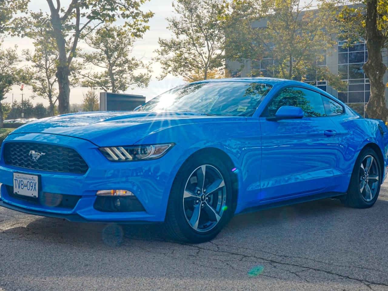 Used 2017 Ford Mustang  for sale in Coquitlam, BC