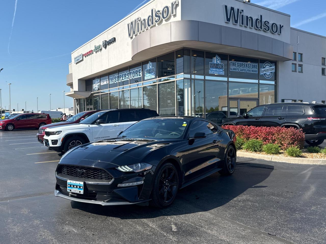 Used 2019 Ford Mustang  for sale in Windsor, ON