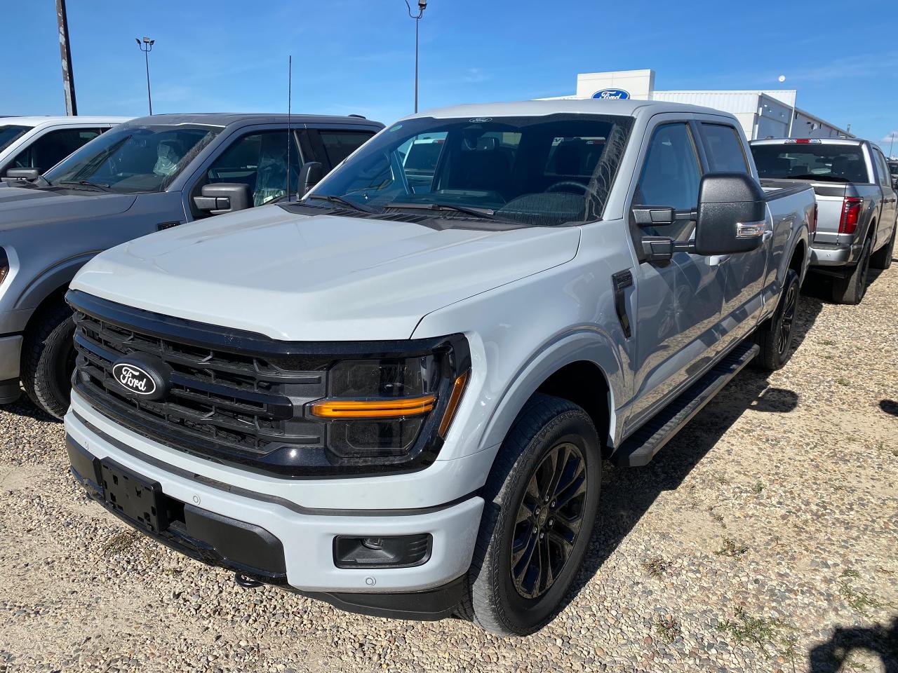 New 2024 Ford F-150 XLT 4WD SuperCrew 6.5' Box 302A for sale in Elie, MB