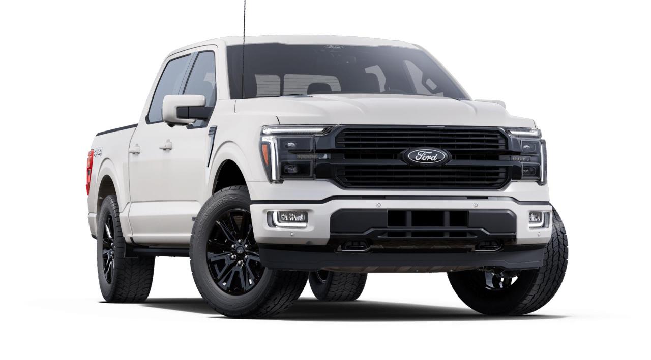 2025 Ford F-150 PLATINUM Photo