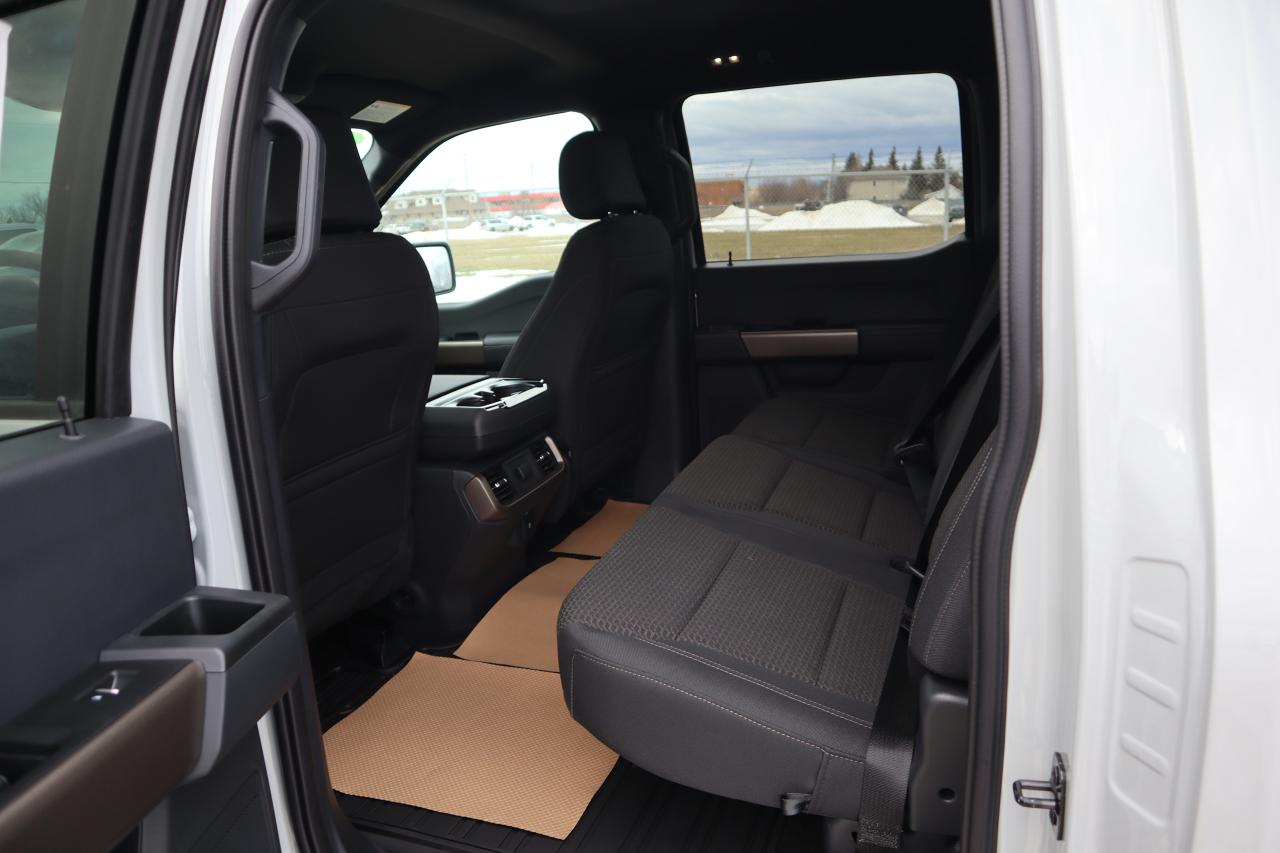 2024 Ford F-150 STX Photo5