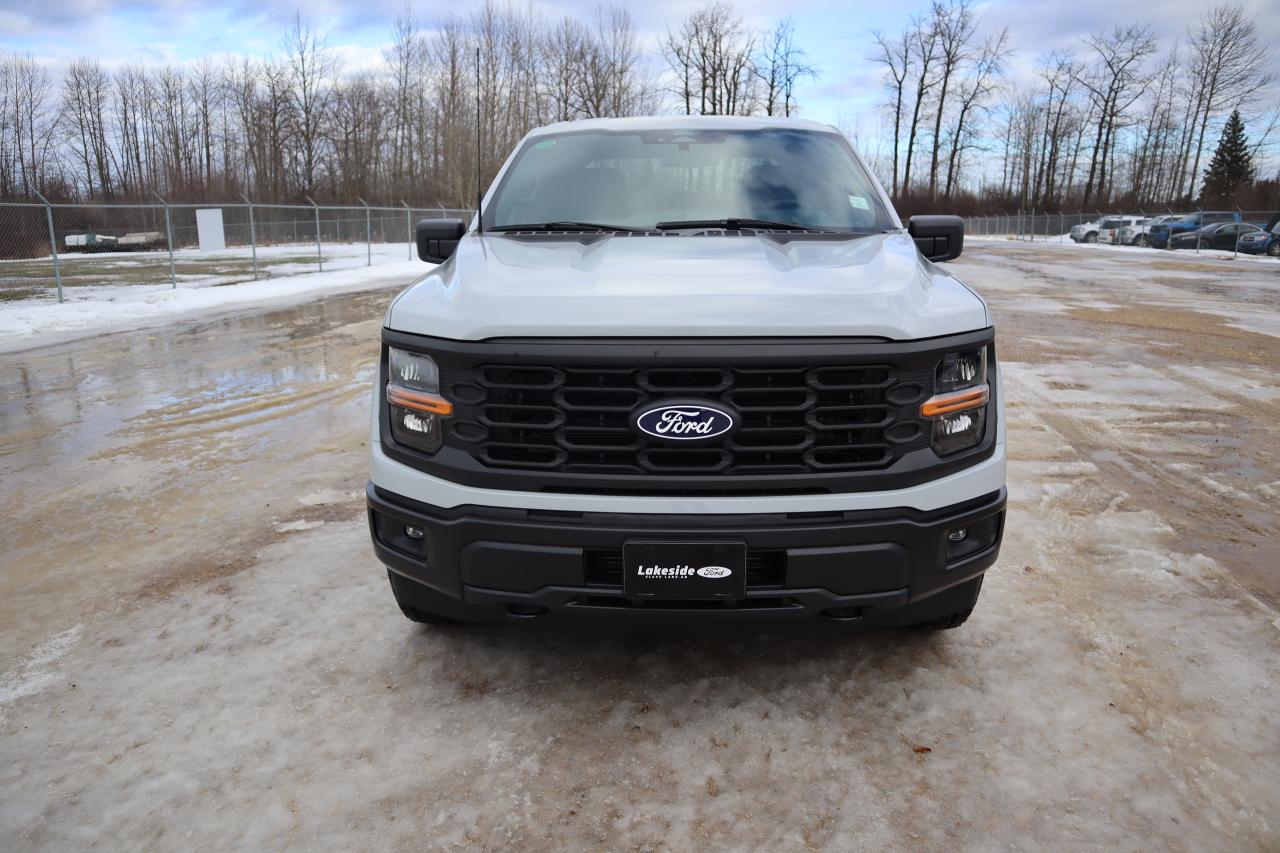 2024 Ford F-150 STX Photo5