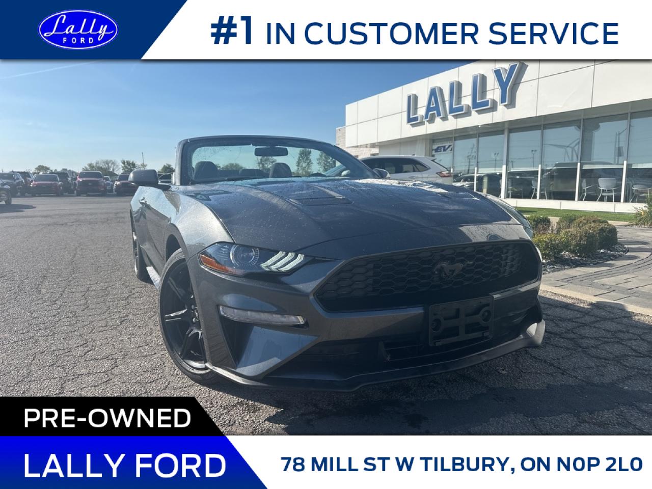 Used 2019 Ford Mustang EcoBoost, Auto, Low Km’s, Nav!! for sale in Tilbury, ON