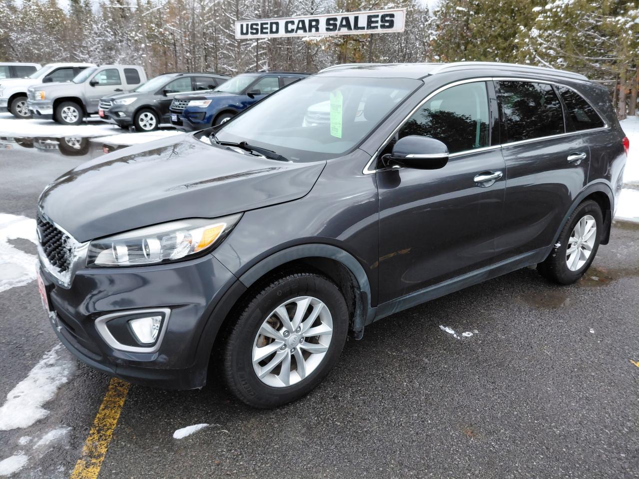 2016 Kia Sorento 2.0L Turbo LX+ Photo