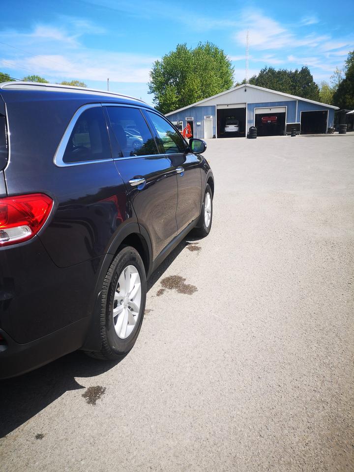 2016 Kia Sorento 2.0L Turbo LX+ Photo4