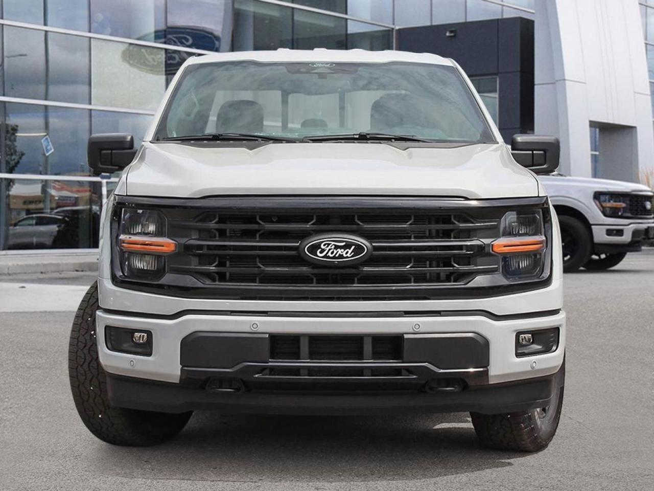 New 2024 Ford F-150 XLT 5.0L V8 | Moonroof | XLT Black Appearance for sale in Winnipeg, MB