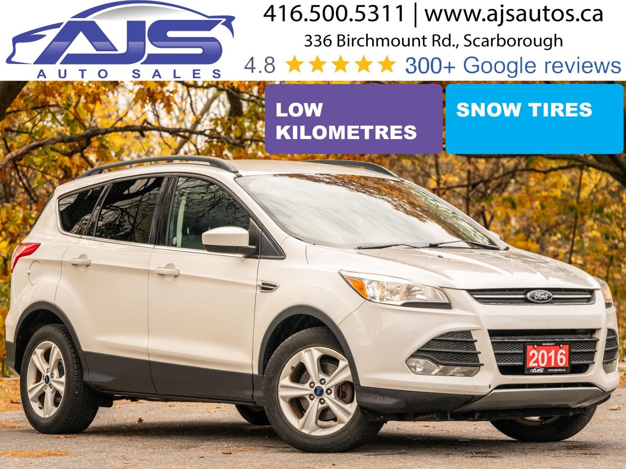 Used 2016 Ford Escape SE for sale in Toronto, ON