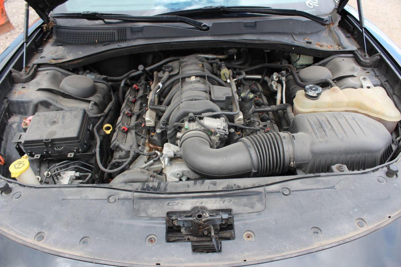 2017 Dodge Charger  Photo