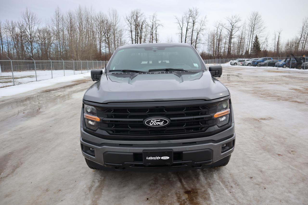 2024 Ford F-150 XLT Photo1