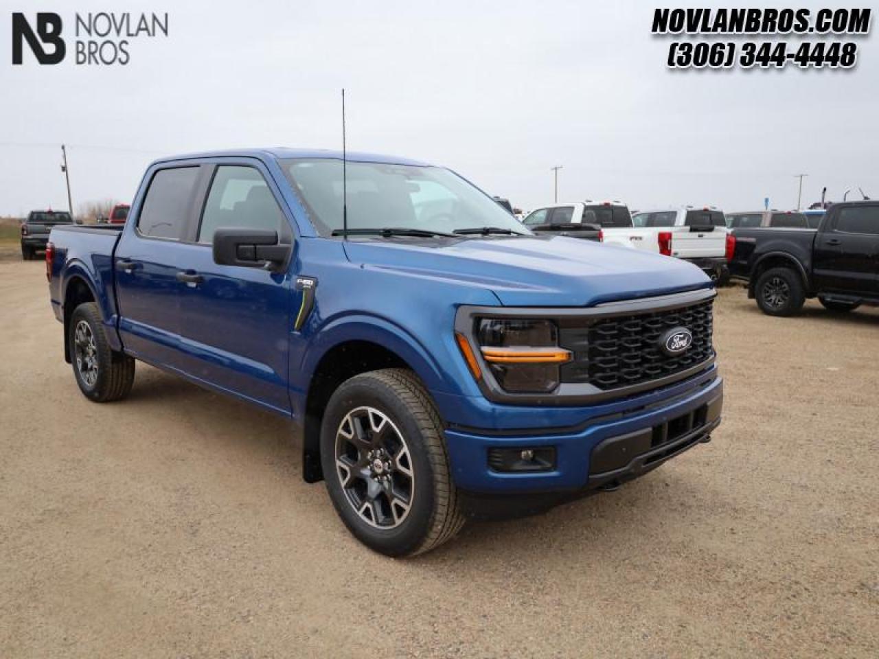 New 2024 Ford F-150 STX for sale in Paradise Hill, SK