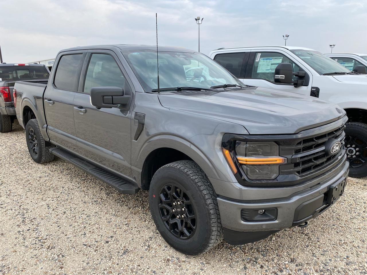 2024 Ford F-150 XLT 4WD SuperCrew 5.5' Box 302A Photo