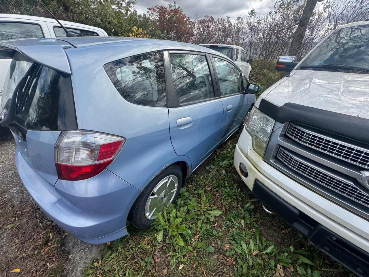 2010 Honda Fit 4 CYL, MANUAL, NEEDS CLUTCH, AS IS SPECIAL - Photo #2