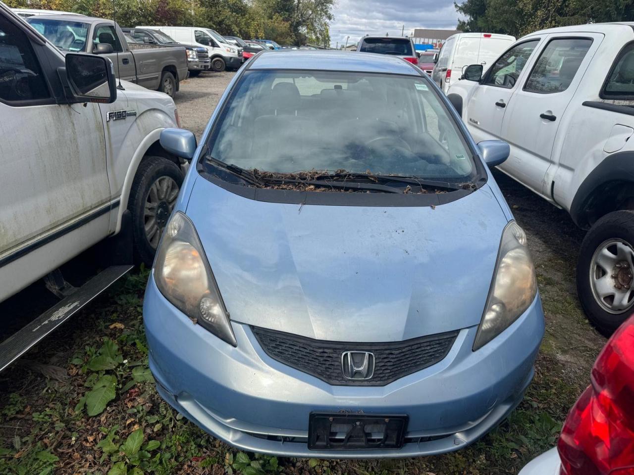 2010 Honda Fit 4 CYL, MANUAL, NEEDS CLUTCH, AS IS SPECIAL - Photo #6