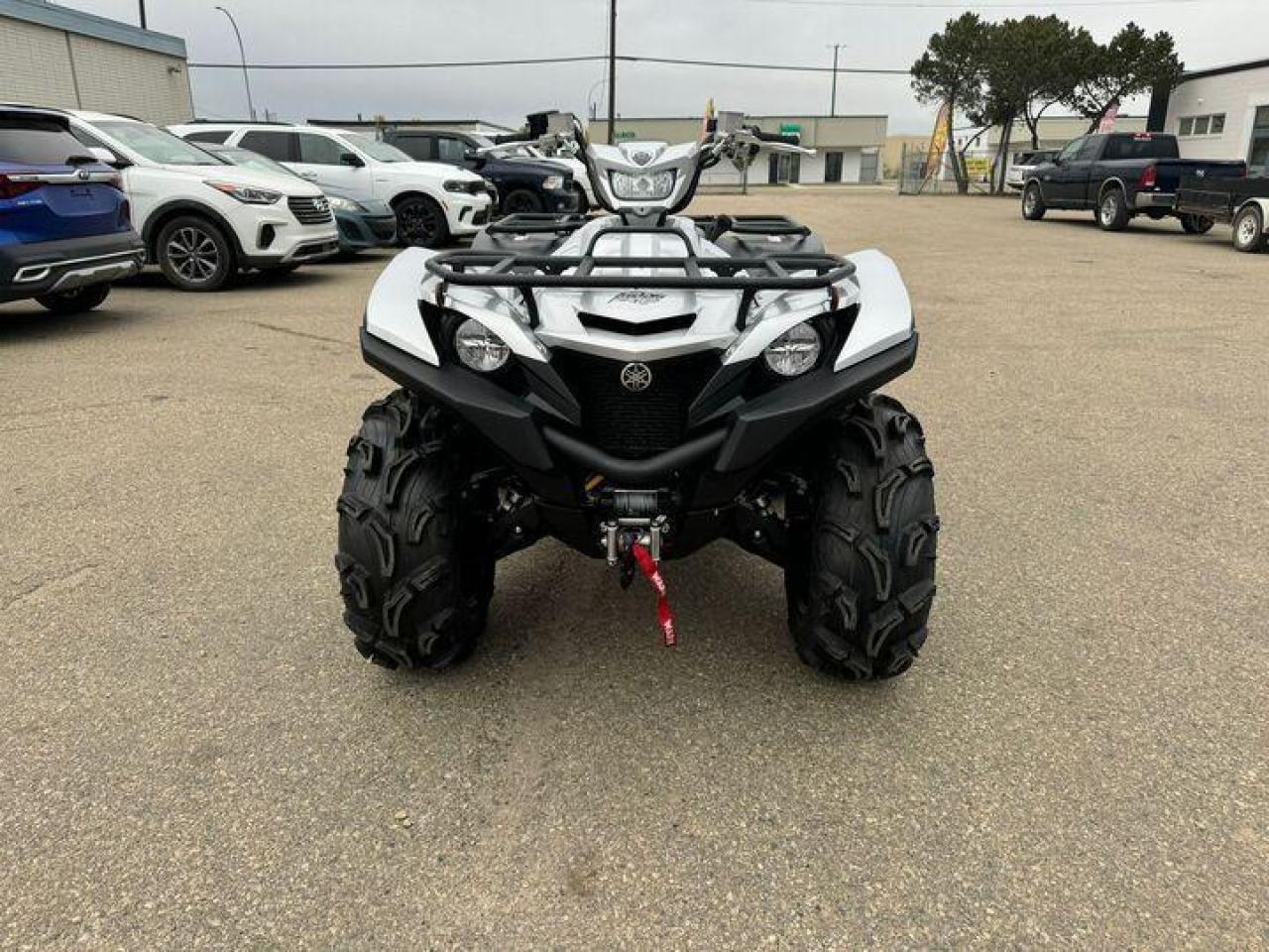 2024 Yamaha Grizzly 700 EPS SE $114 B/W - Photo #6