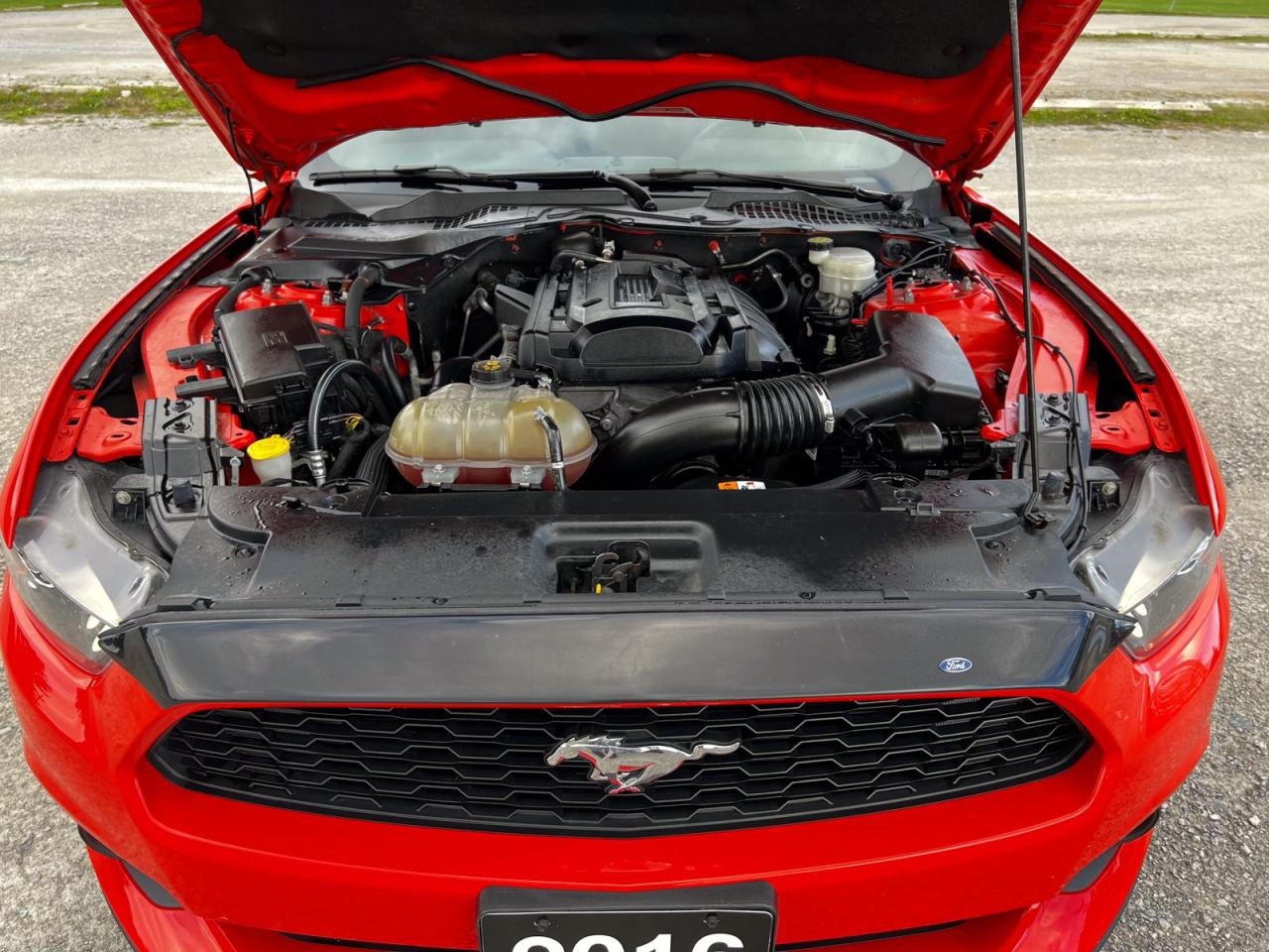 2016 Ford Mustang ECOBOOST COUPE - Photo #24