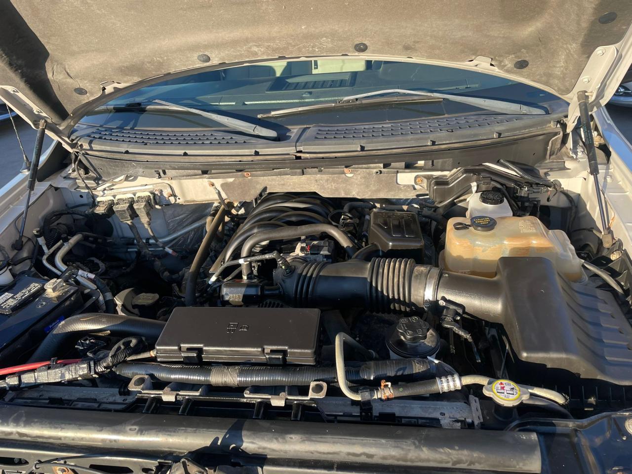 2010 Ford F-150 4WD 4.6L V8 SuperCrew 145" XLT LOW KM - Photo #26