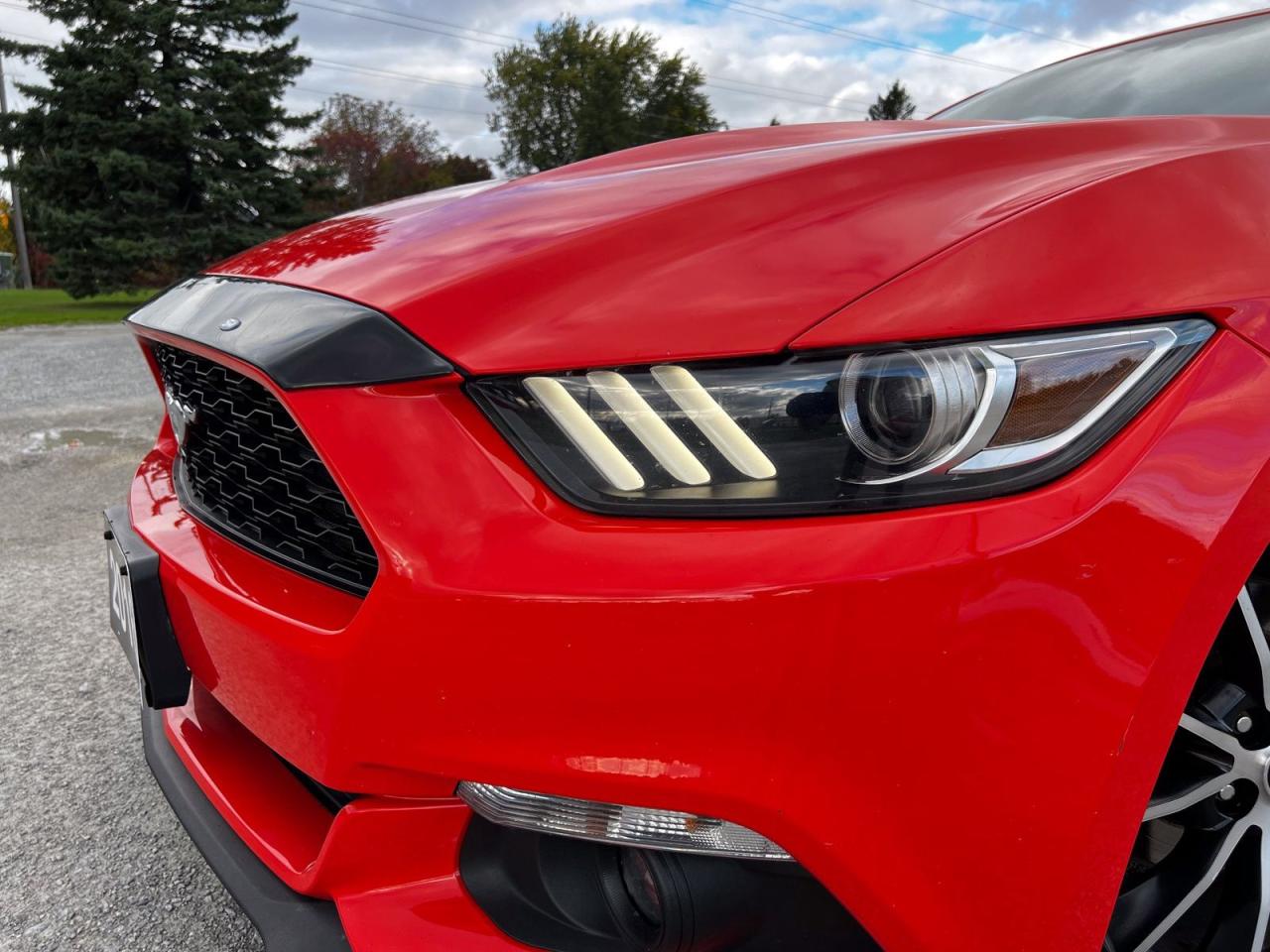 2016 Ford Mustang ECOBOOST COUPE - Photo #6