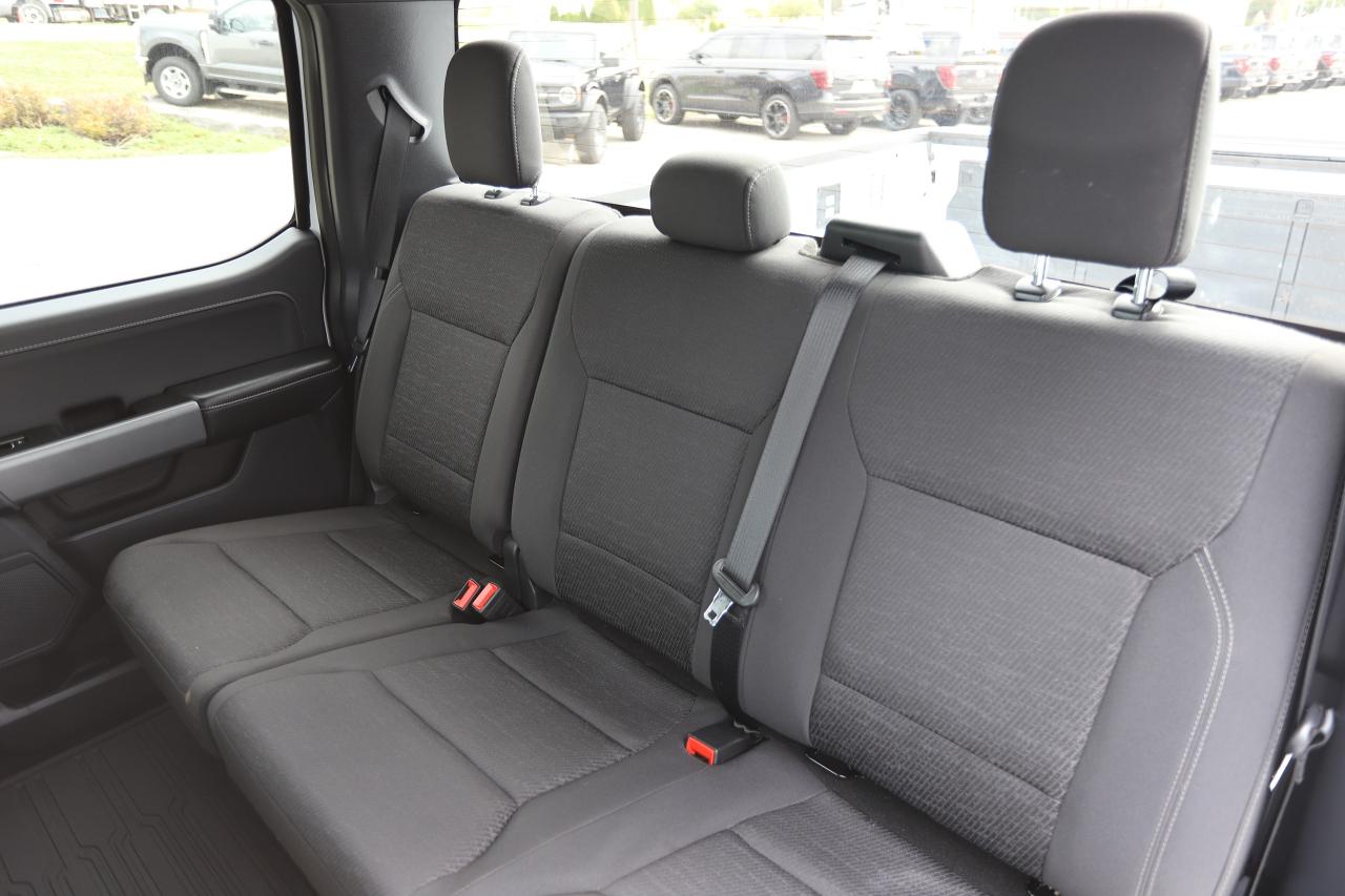 2025 Ford F-150 XLT 4WD SuperCrew 5.5' Box Photo5