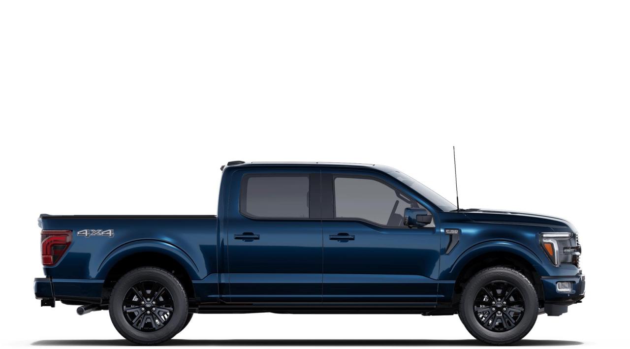 2025 Ford F-150 PLATINUM Photo4