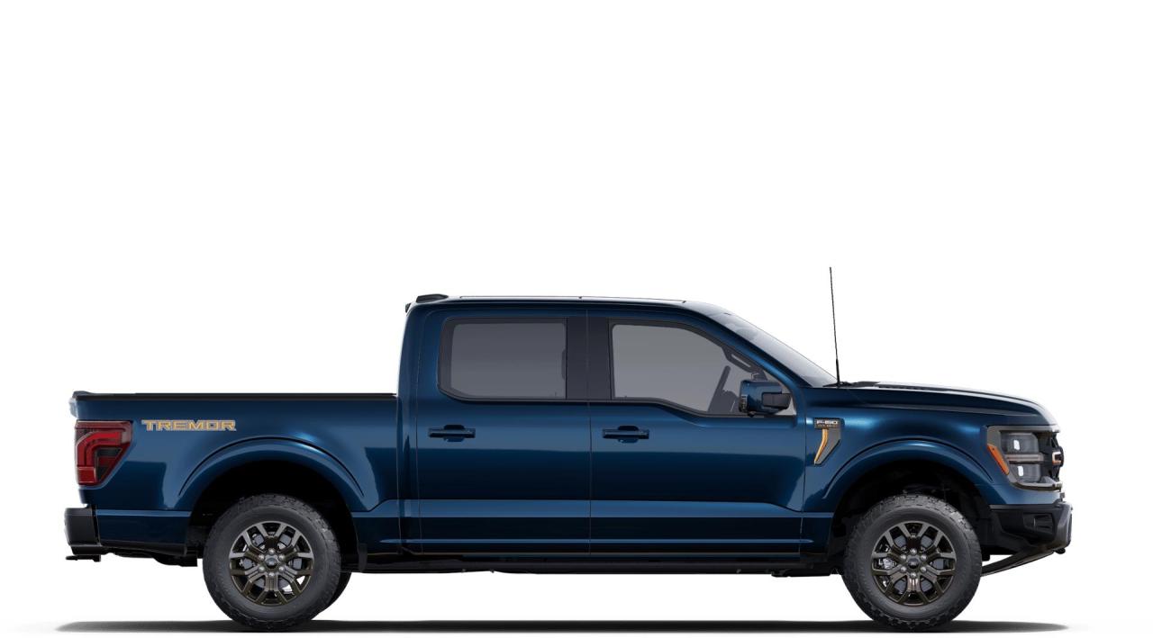 2025 Ford F-150 Tremor Photo4