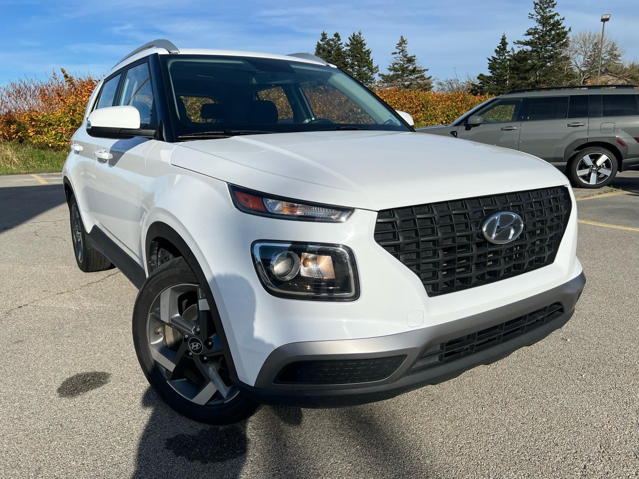 Used Vehicles for Sale in Dayton, NS | Thistle Hyundai