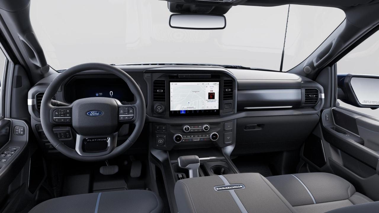 2025 Ford F-150 PLATINUM Photo5