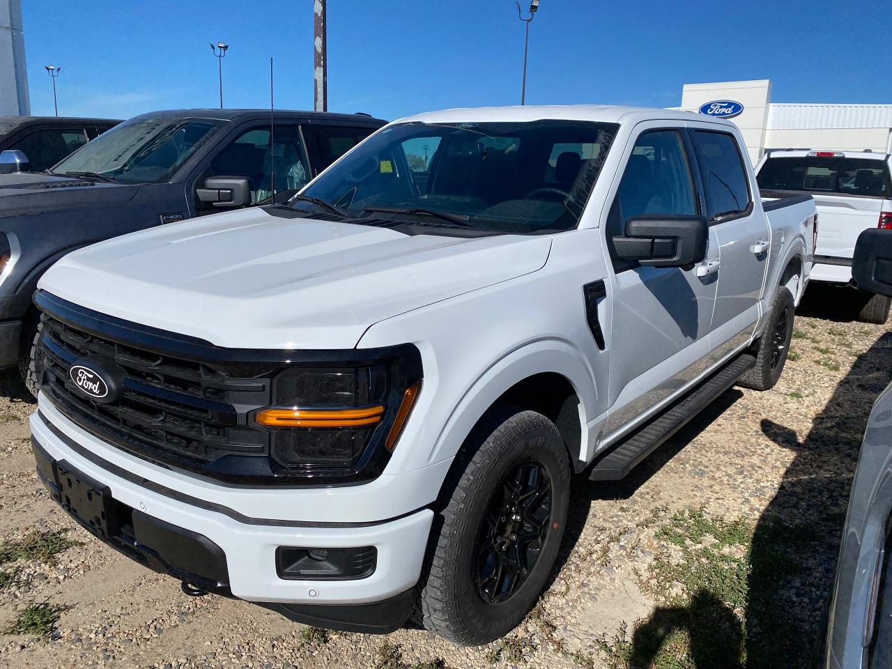 New 2024 Ford F-150 XLT 4WD SuperCrew 5.5' Box 302A for sale in Elie, MB