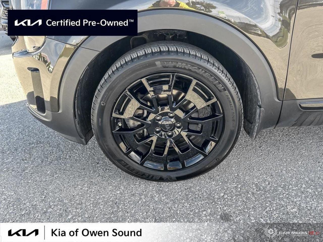 2021 Kia Telluride SX LIMITED W/BLACK STYLING ELEMENTS Photo